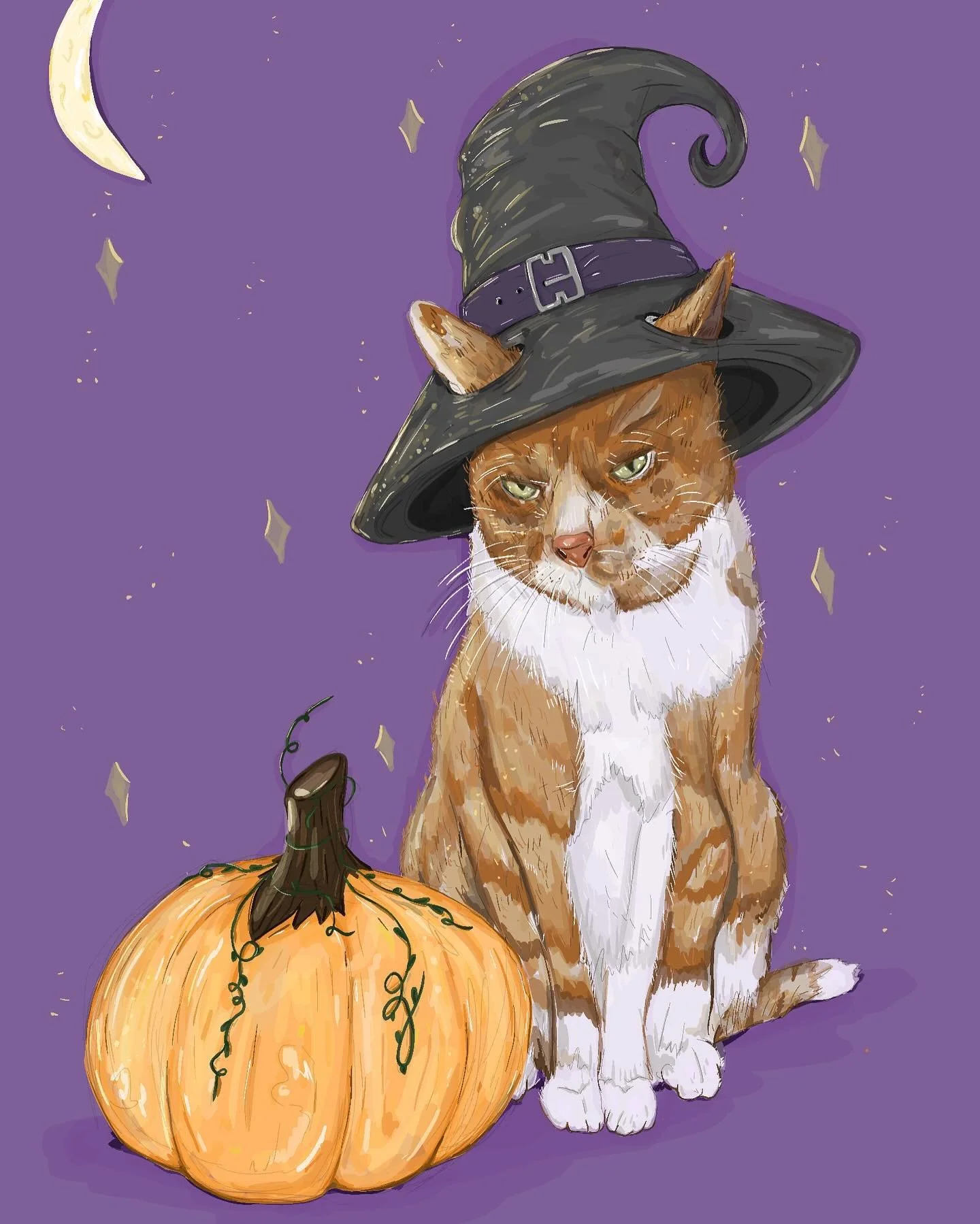 Love me some kitties (sorry if you&rsquo;ve seen this already)