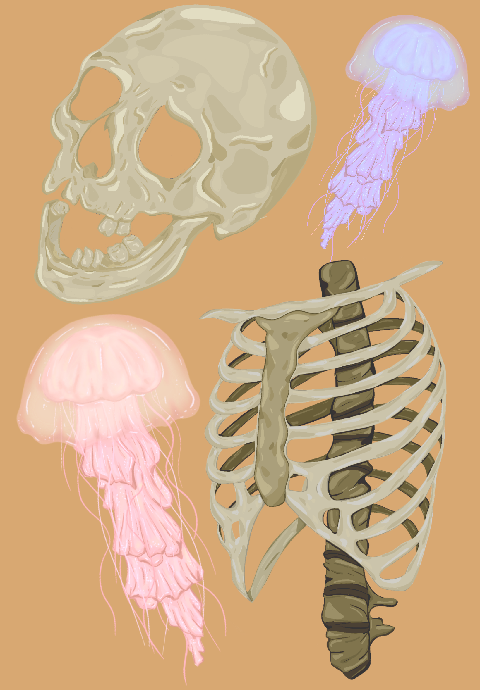 random.PNG