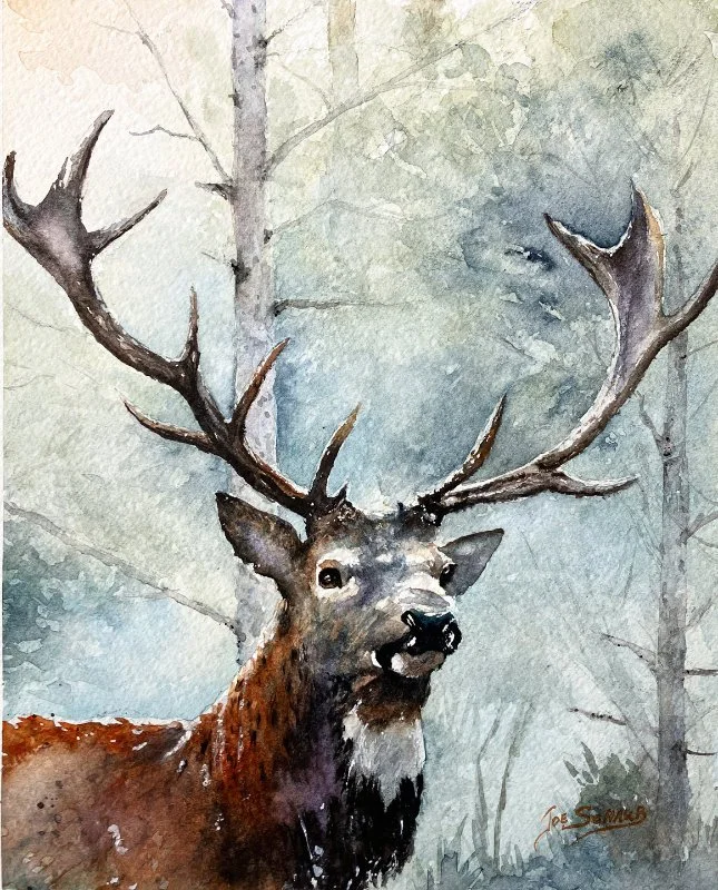 Woodland Watcher gallery P sld.jpg