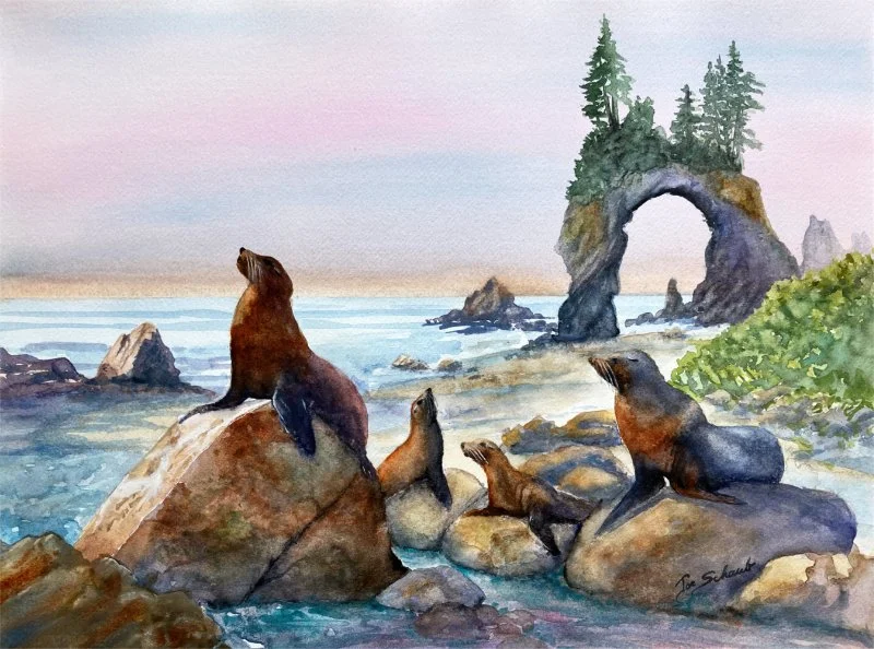 Sea Lions at Sunset gallery L sld.jpg
