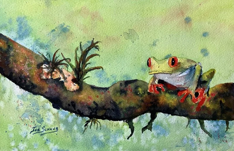Tree Frog gallery L sld.jpg