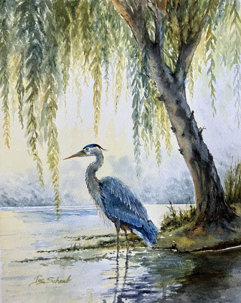 Heron in the Shade sq.jpg