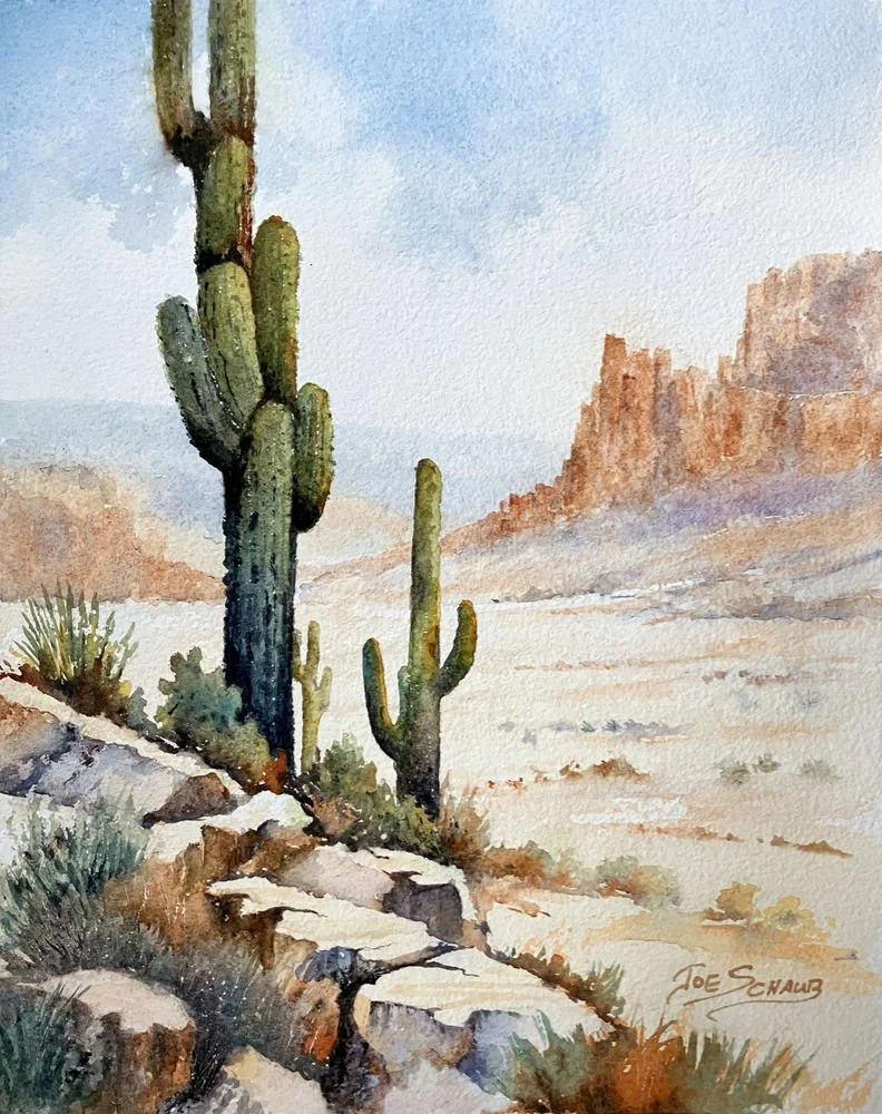 Saguaro Ridge sq.jpg