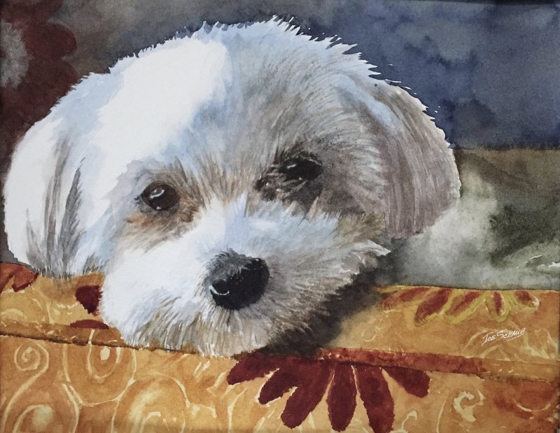 Buddy gallery L sld.jpg