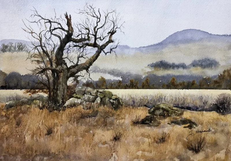 Twisted Tree gallery L sld.jpg