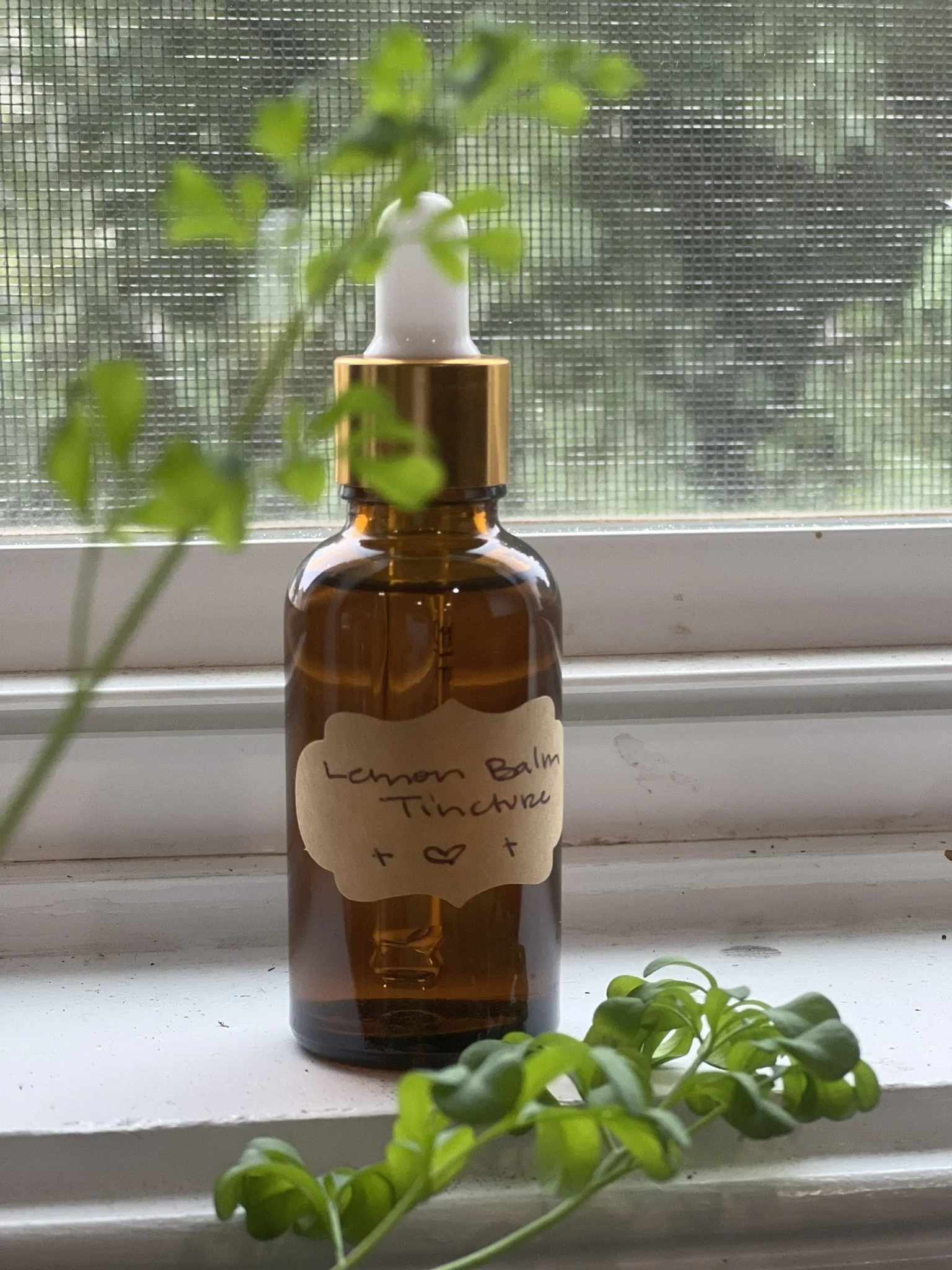 A small amber glass bottle with a white dropper cap and gold collar, labeled "Lemon Balm Tincture" in handwritten style, sitting on a windowsill with greenery and a mesh screen visible in the background.