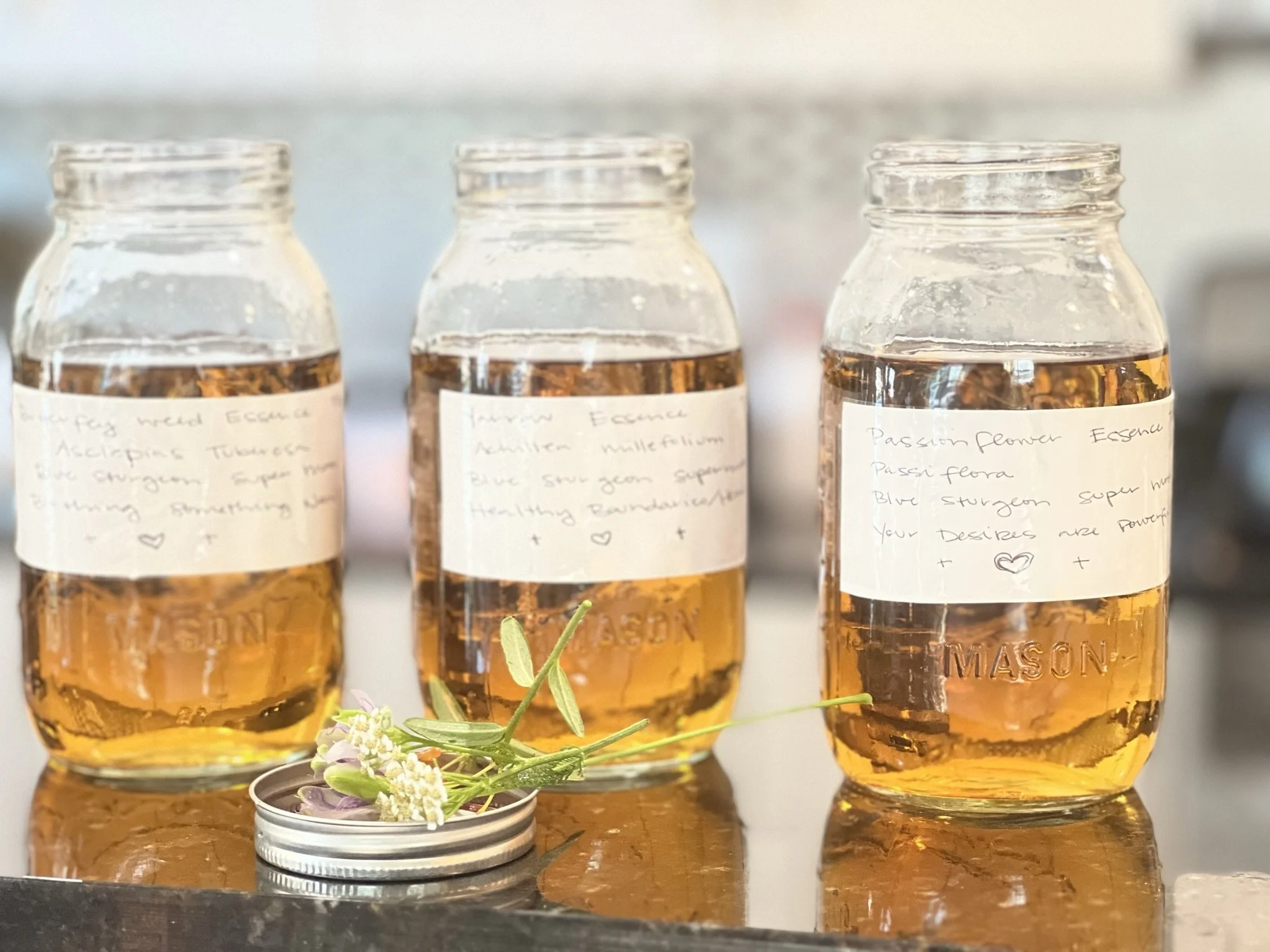 Three clear glass bottles filled with herbs and labeled with handwritten notes, along with a small metal container holding fresh herbs with purple flowers and green leaves, on a reflective surface.