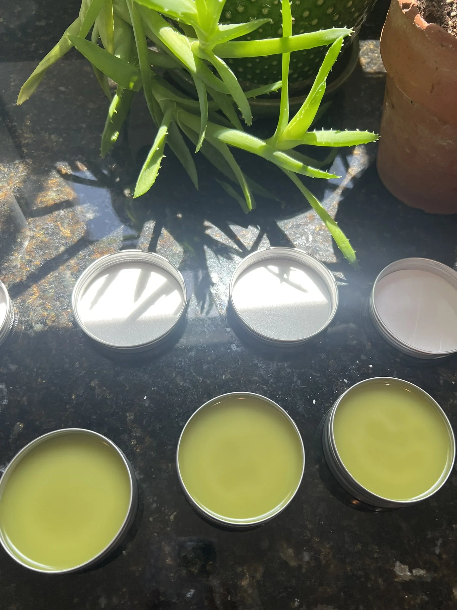 Close-up of aloe vera plants and small candles on a dark stone surface.