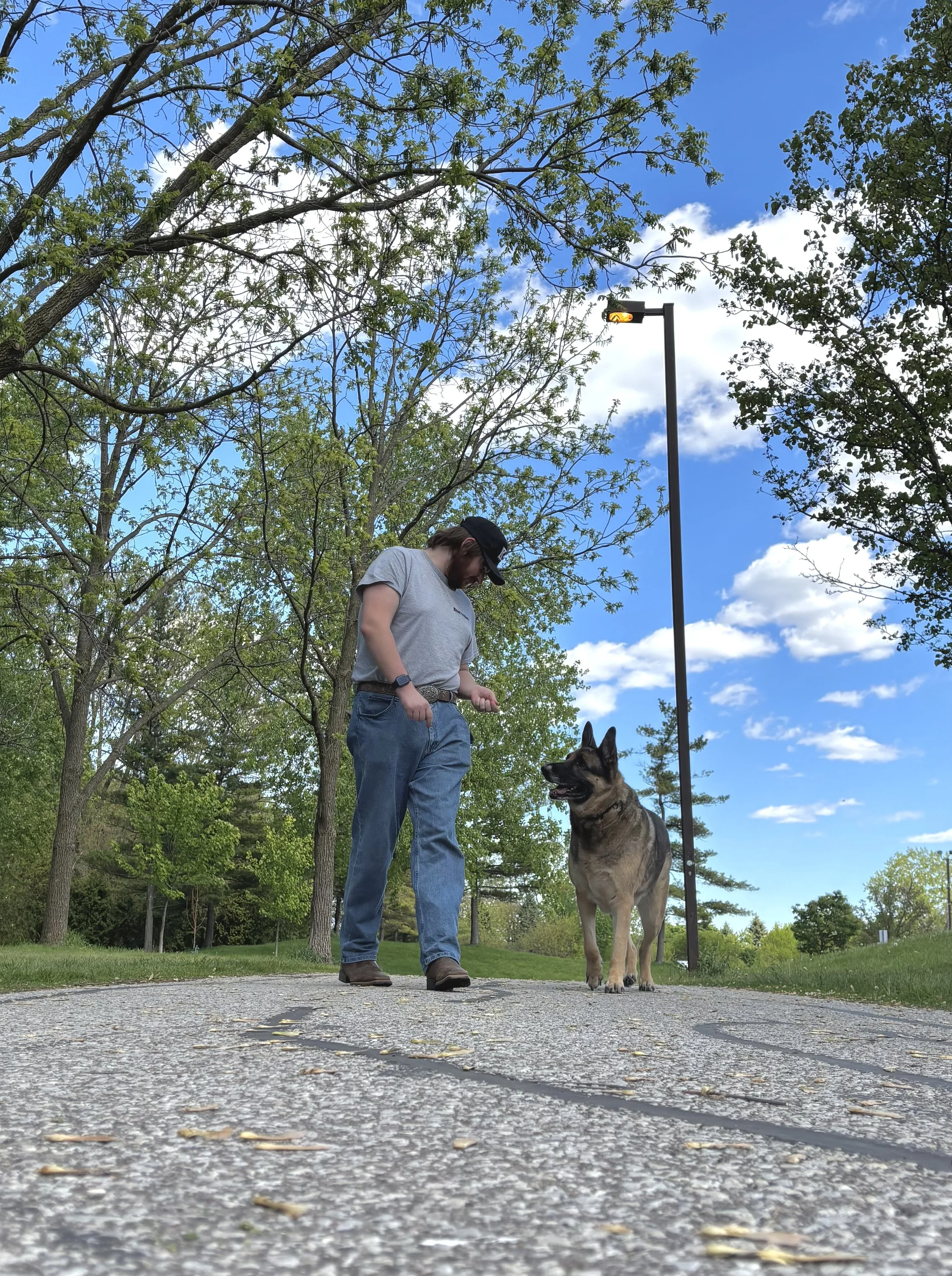 Advanced Obedience