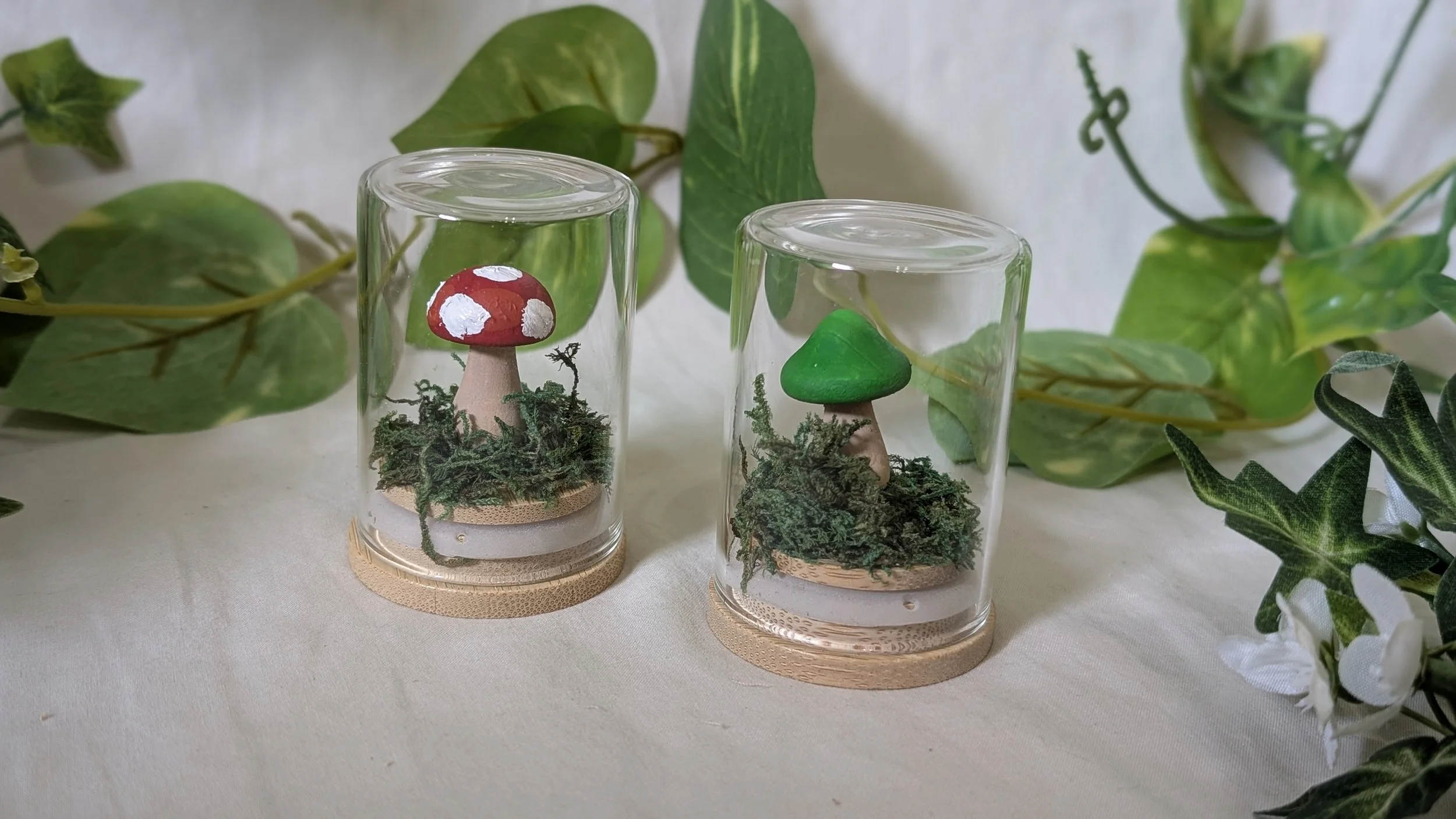 Mushroom Terrarium