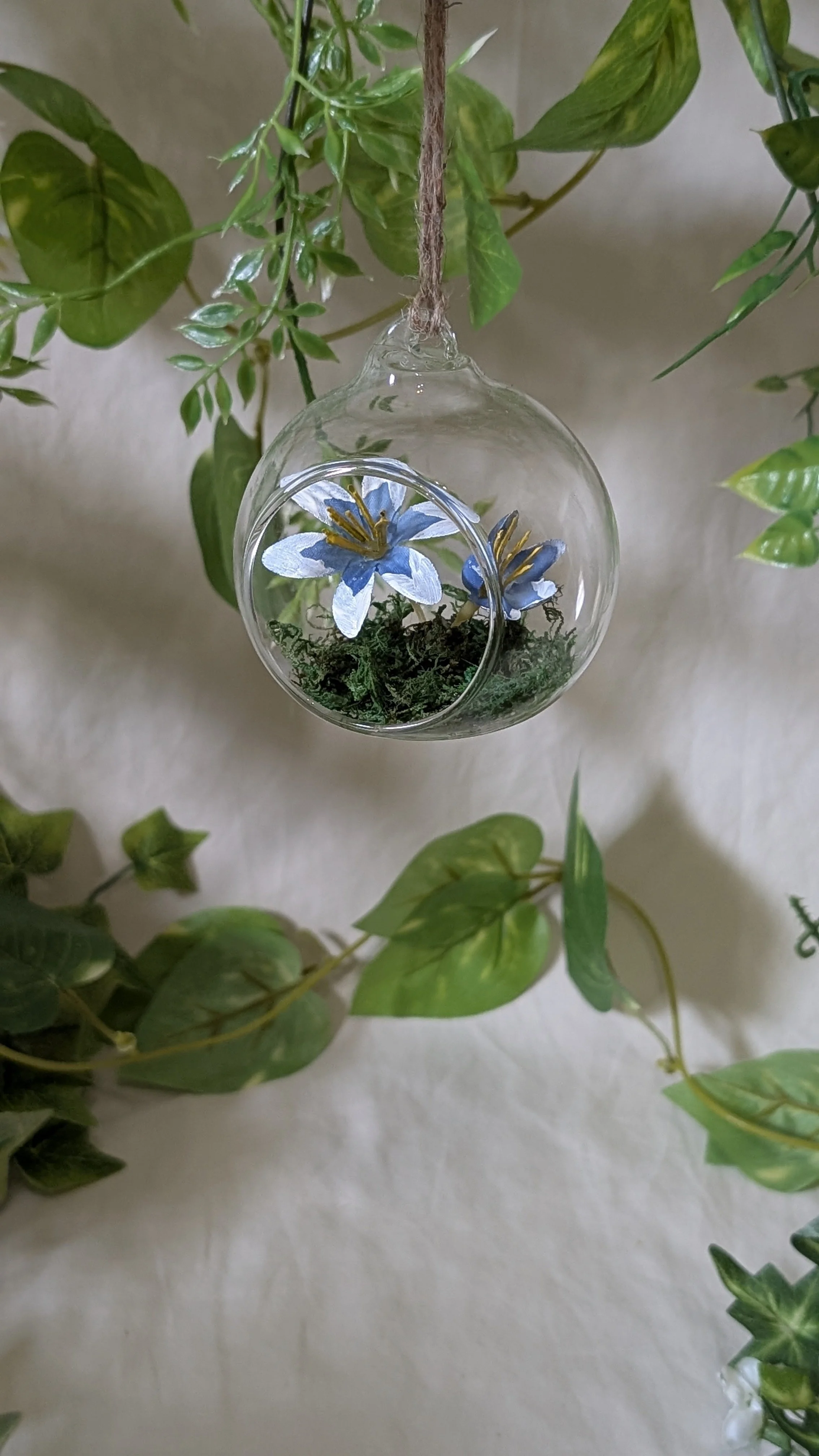Hanging Terrarium