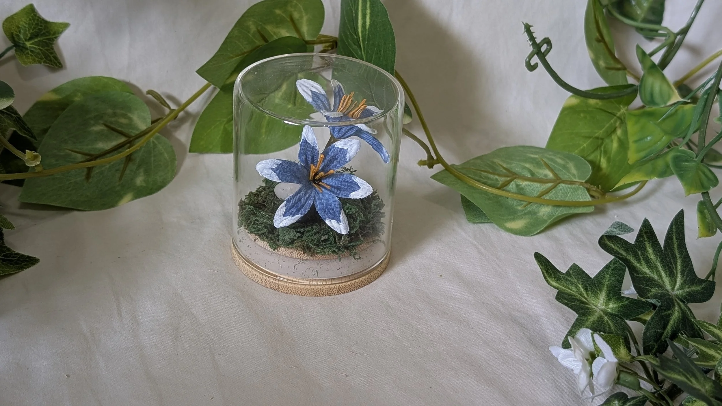 Silent Princess Terrarium