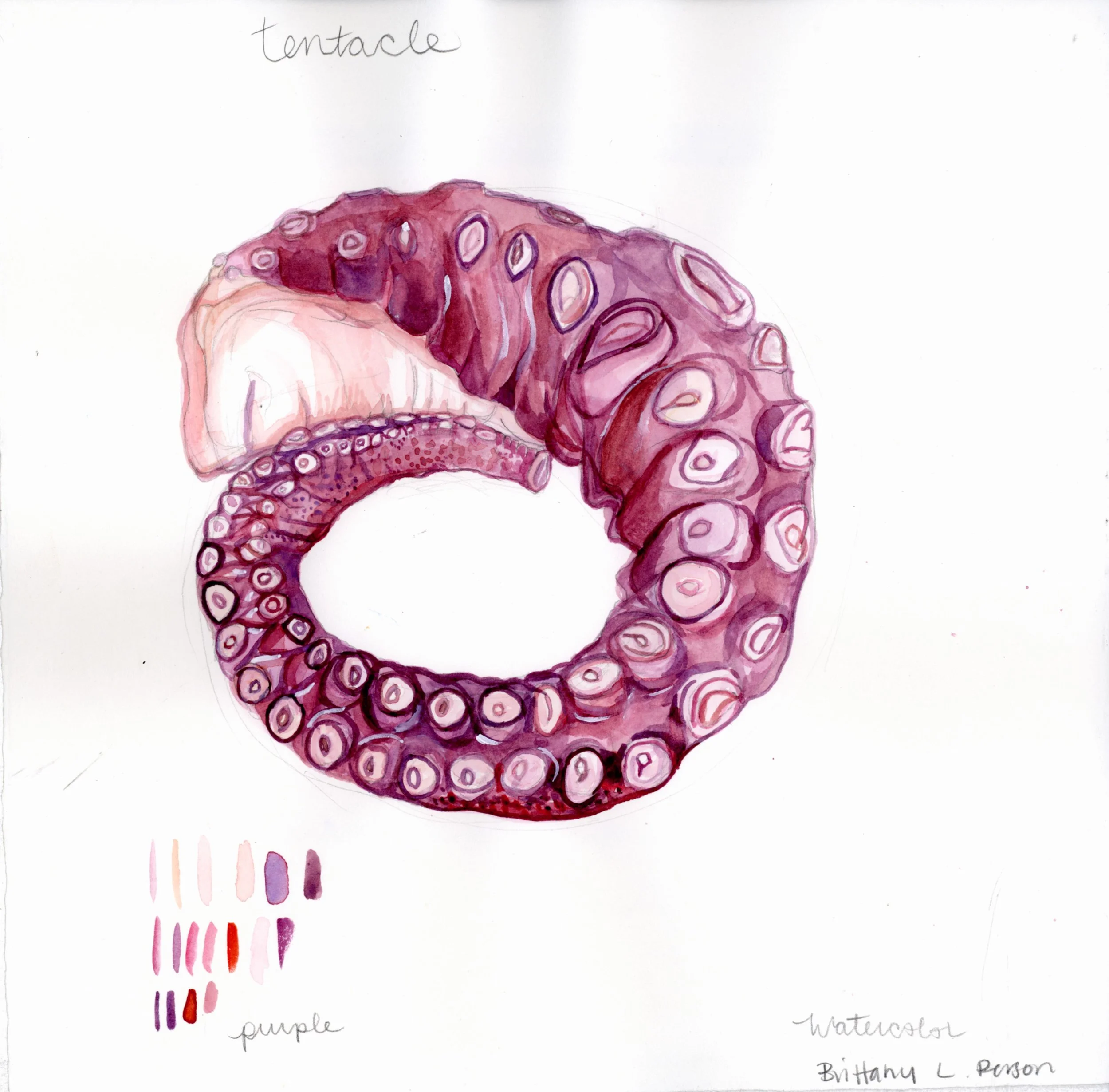 5tentacle_BP001 (1).jpeg
