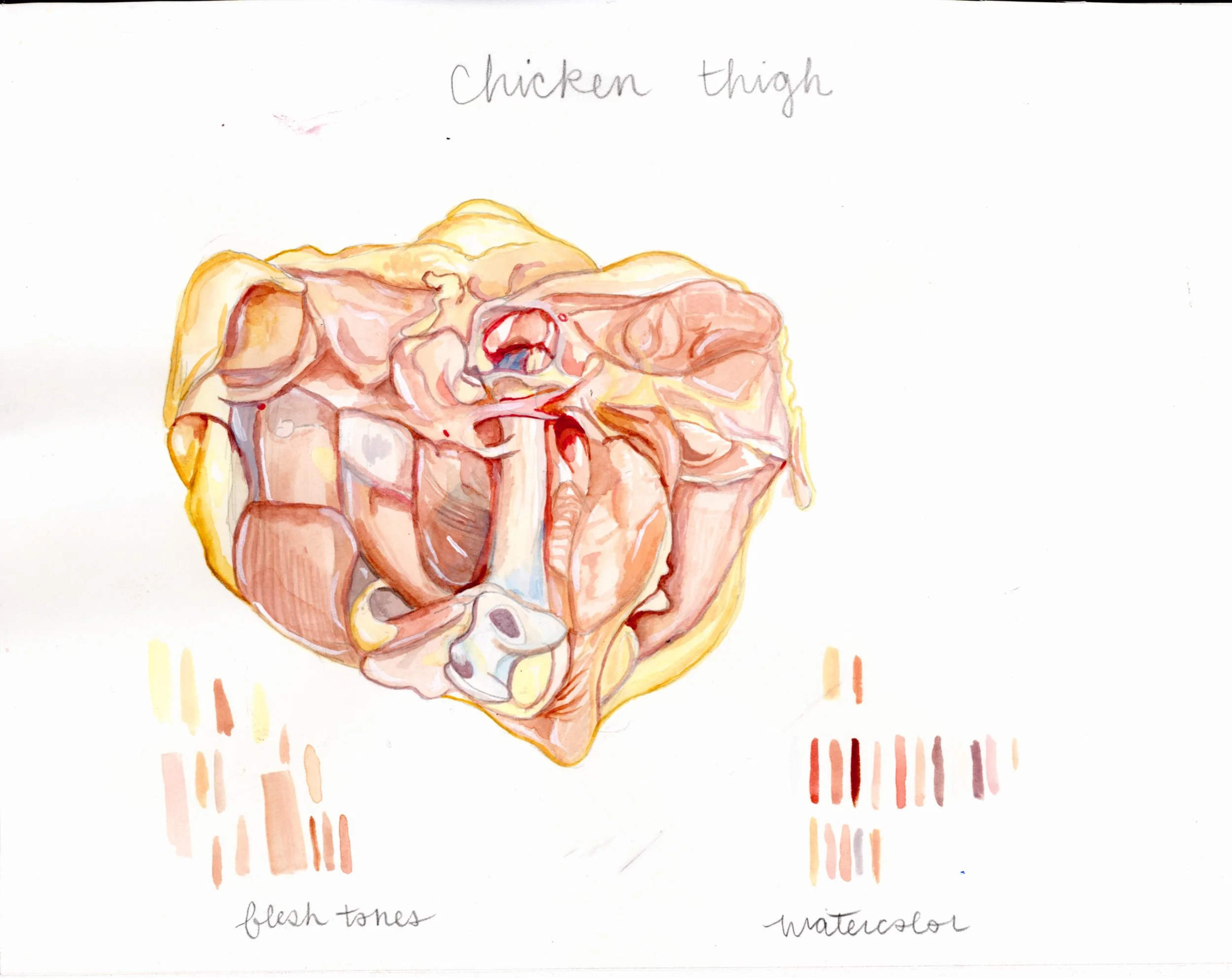 4chickenthigh_BP001.jpeg