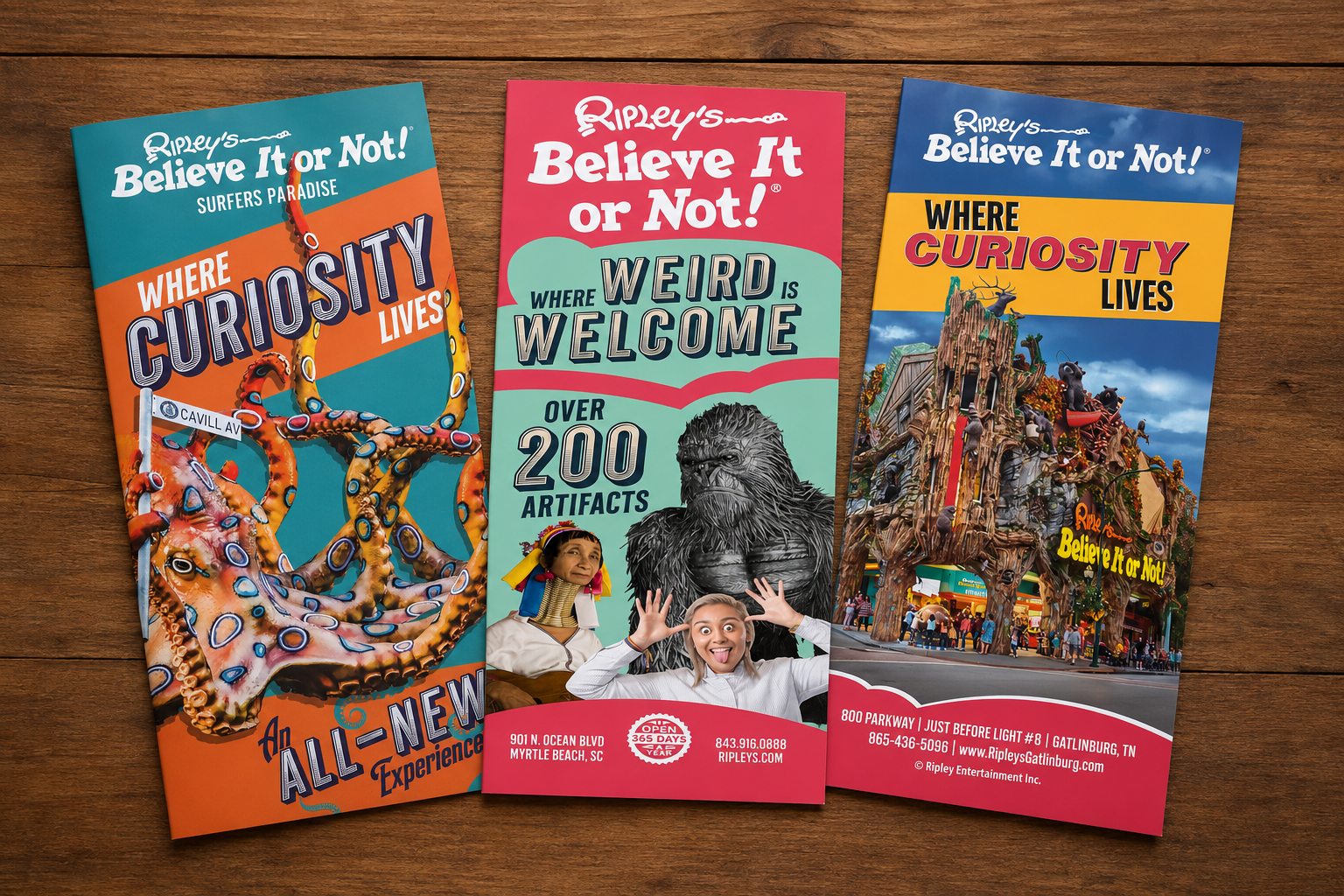 Brochures advertising Ripley's Believe It or Not! attractions, featuring an octopus, Smokies Design provides graphic design, branding, website design, SEO, and marketing services for businesses in Gatlinburg, Pigeon Forge, Sevierville, Knoxville, and
