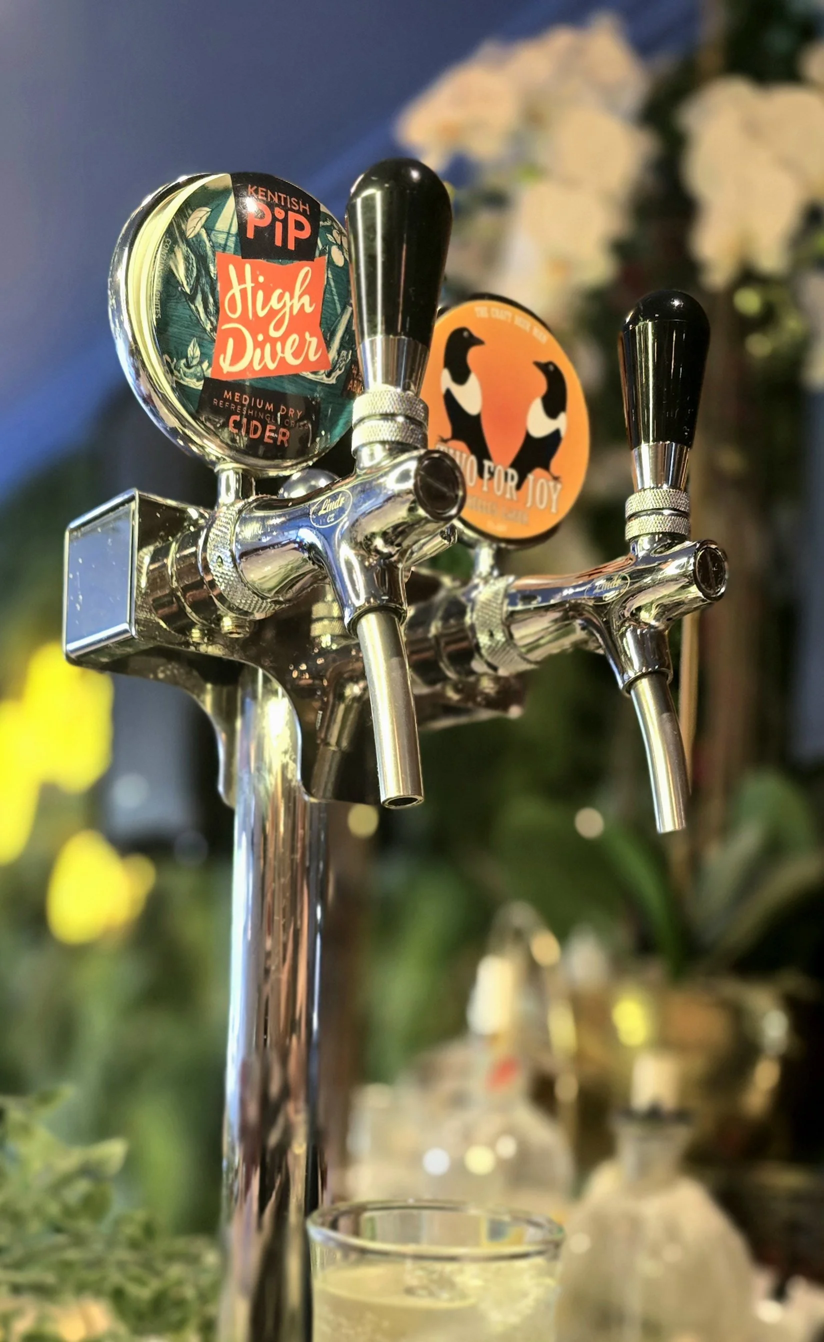 Draft beer & cider tap handles dispensing cider into a glass, with a blurred background of plants and lights. Draft available at Ninety Seven Bar and Lounge Sidcup Kent.