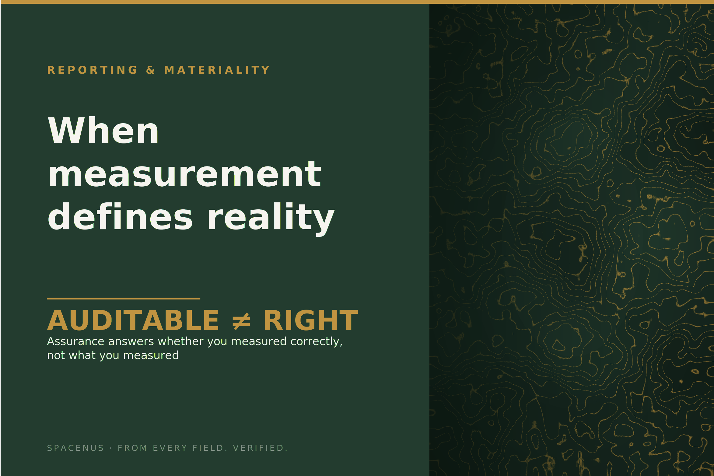 Sustainability Reporting: When Measurement Defines Reality