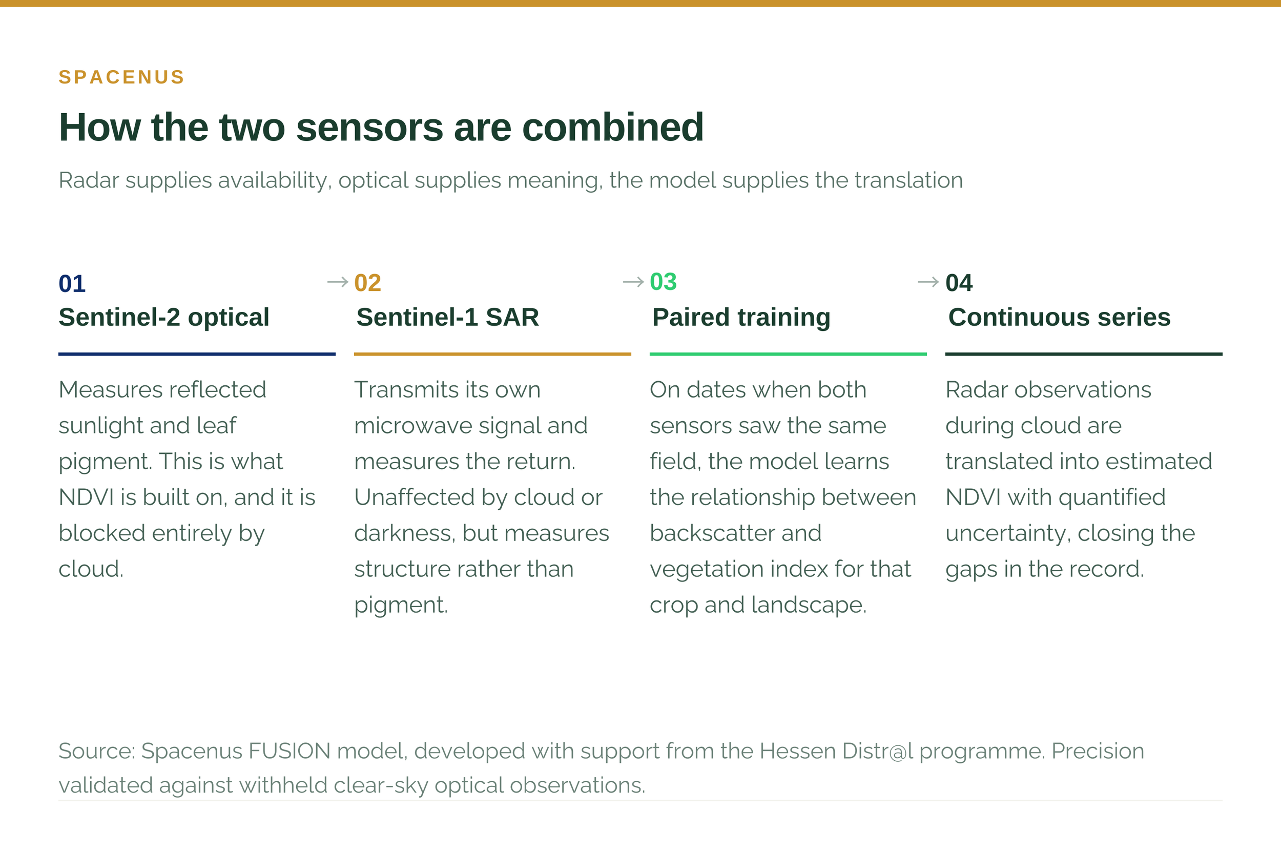 Architecture of Sentinel-1 SAR and Sentinel-2 optical data fusion for continuous vegetation monitoring