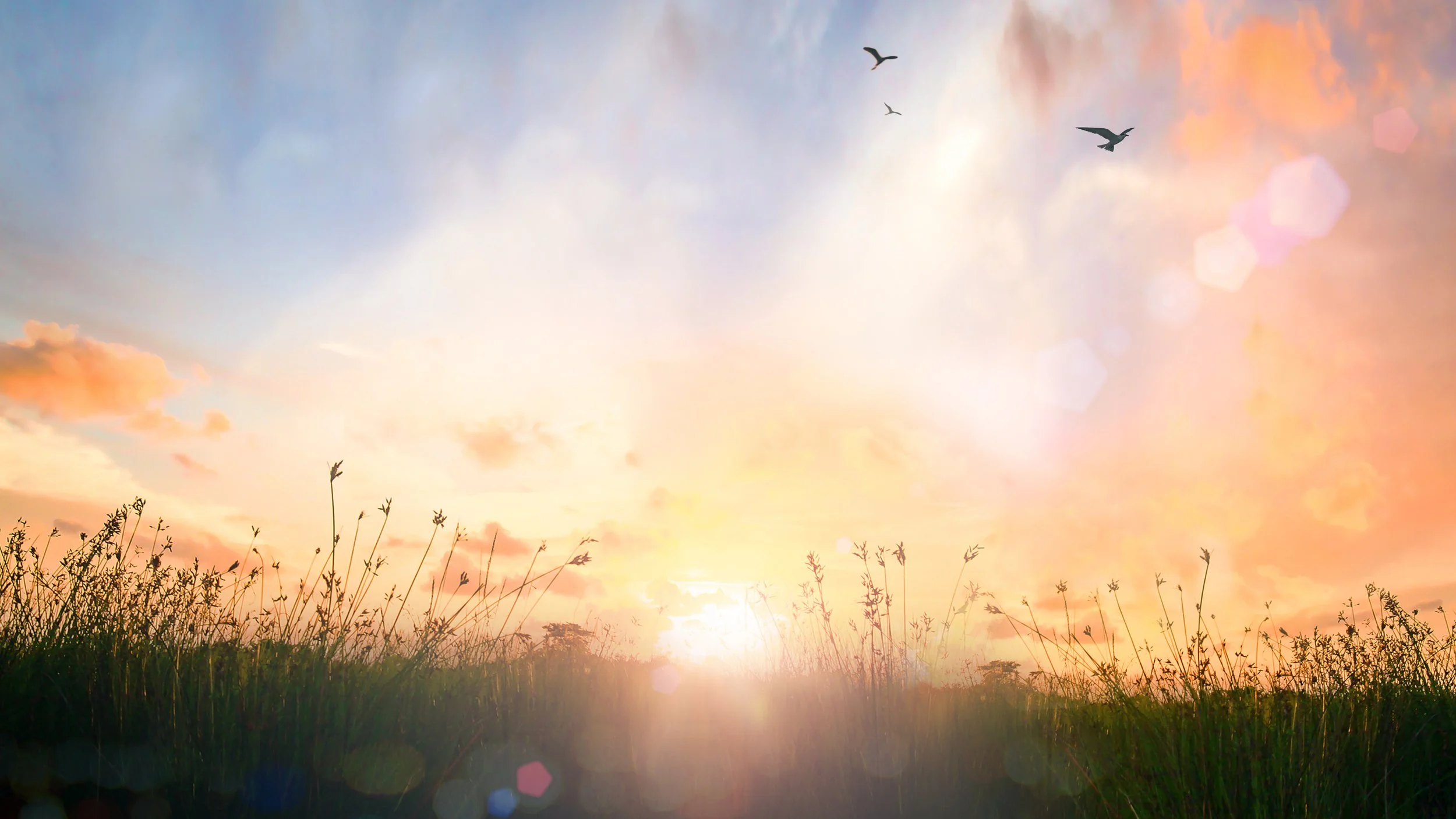Arise-to-wellness-at-qumi-ori-oshkosh