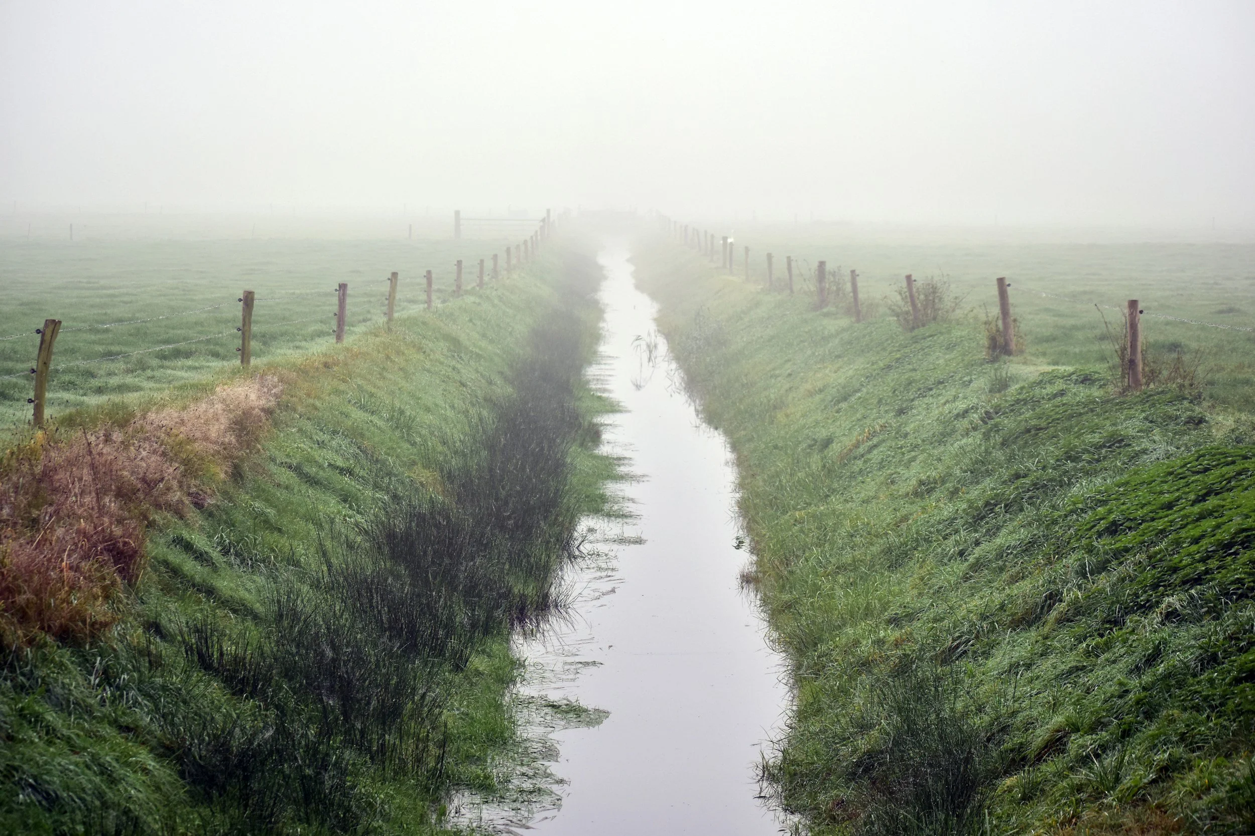 A foggy landscape with a narrow water canal running between green grassy fields, enclosed by wooden fences.