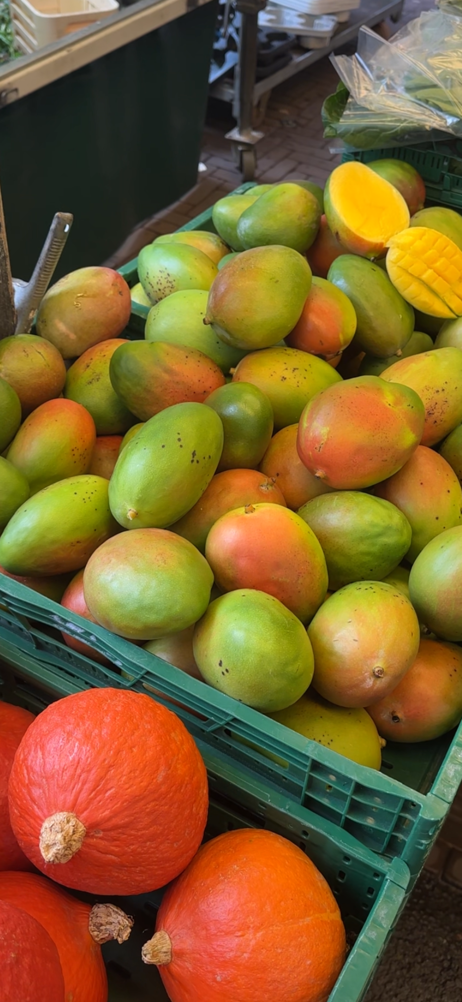 A display of fresh mangoes and pumpkins at a grocery store. The mangoes are green and ripening, and there are a few that are partially red or yellow. The pumpkins are orange and located at the front of the display.