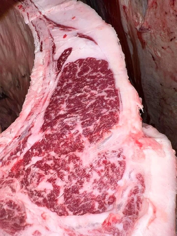 A close-up view of a large, bone-in, marbled side of beef.