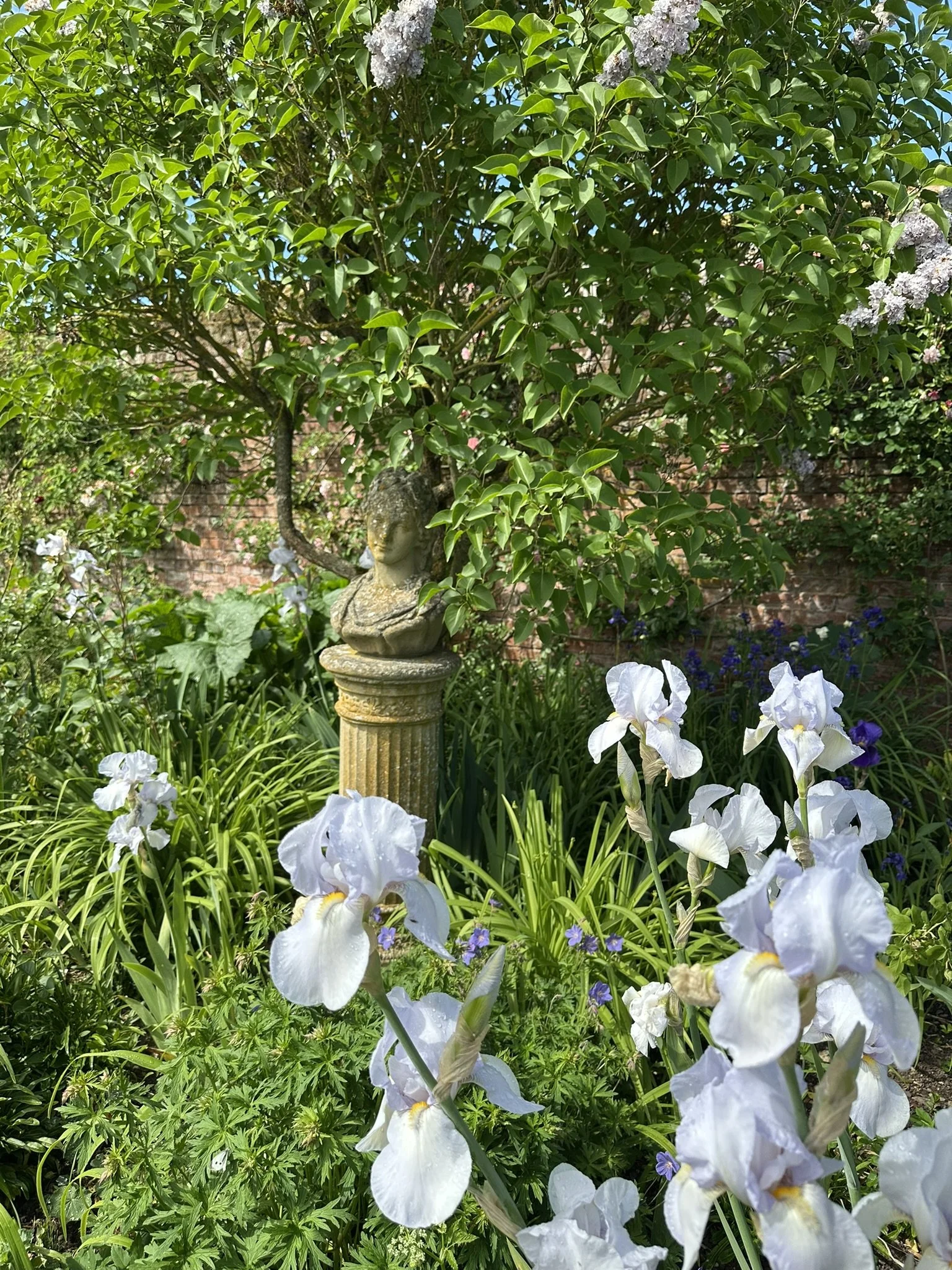 IMG_6773.JPEG