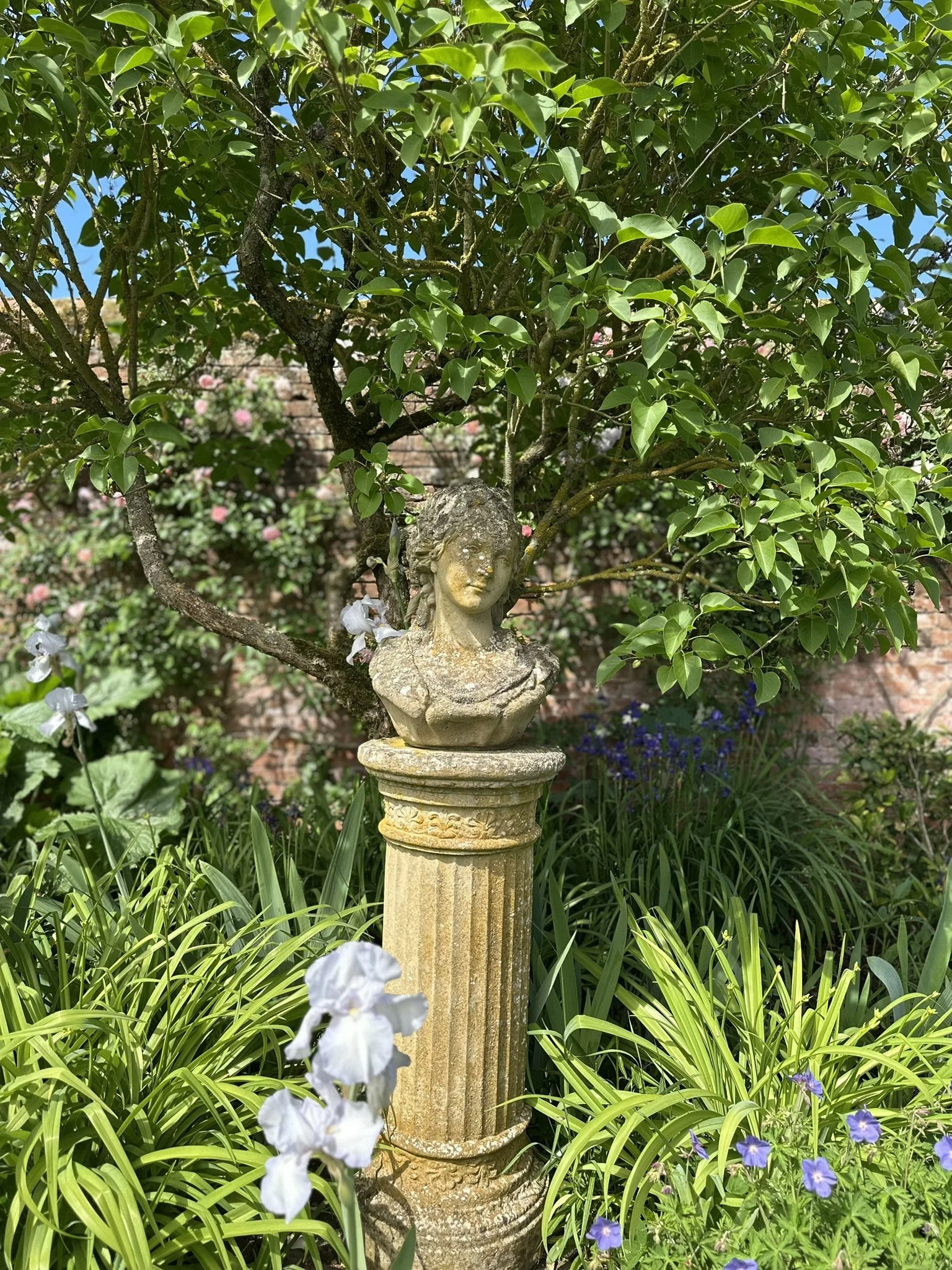 IMG_6772.JPEG