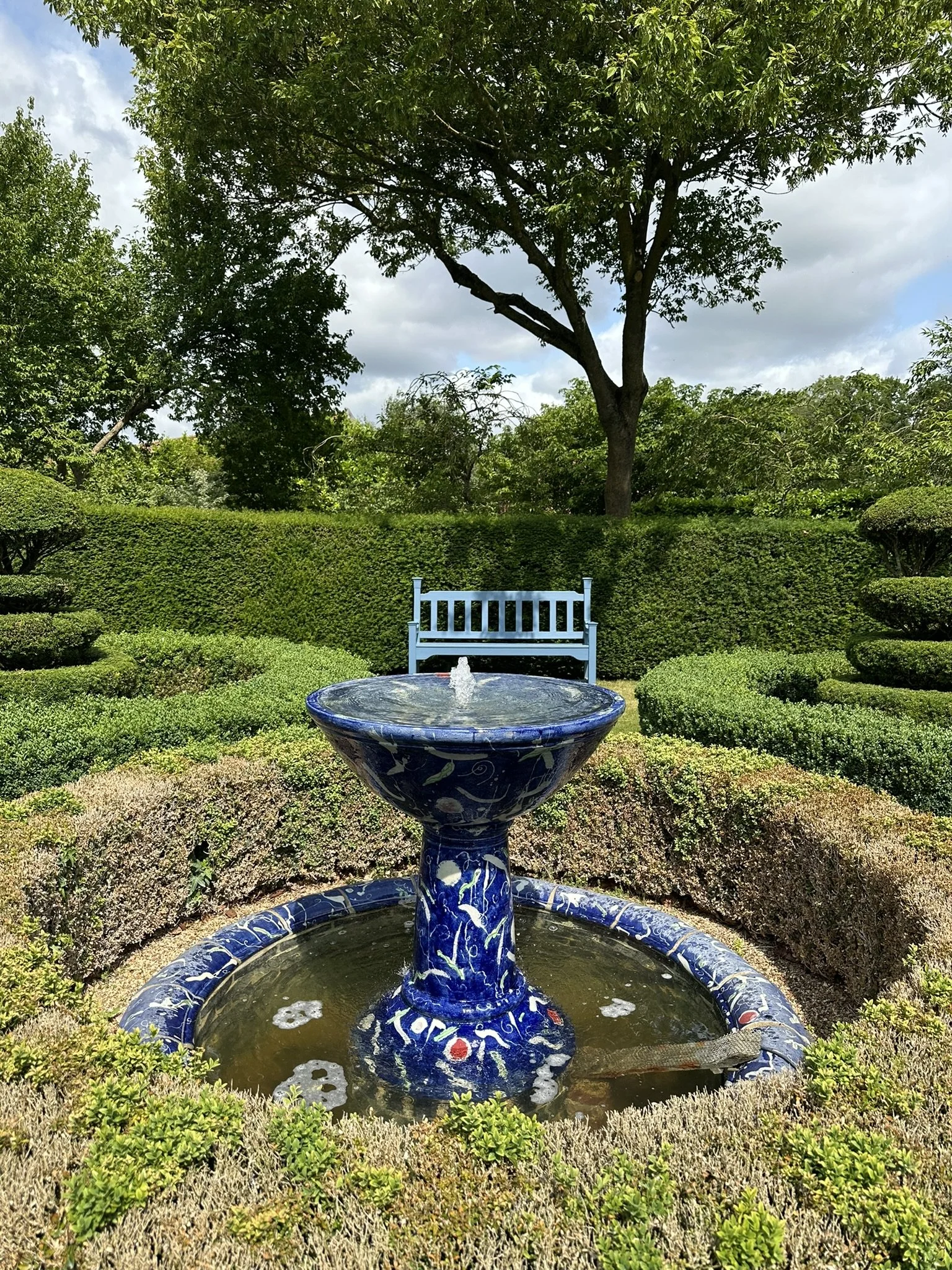 IMG_7535.JPEG