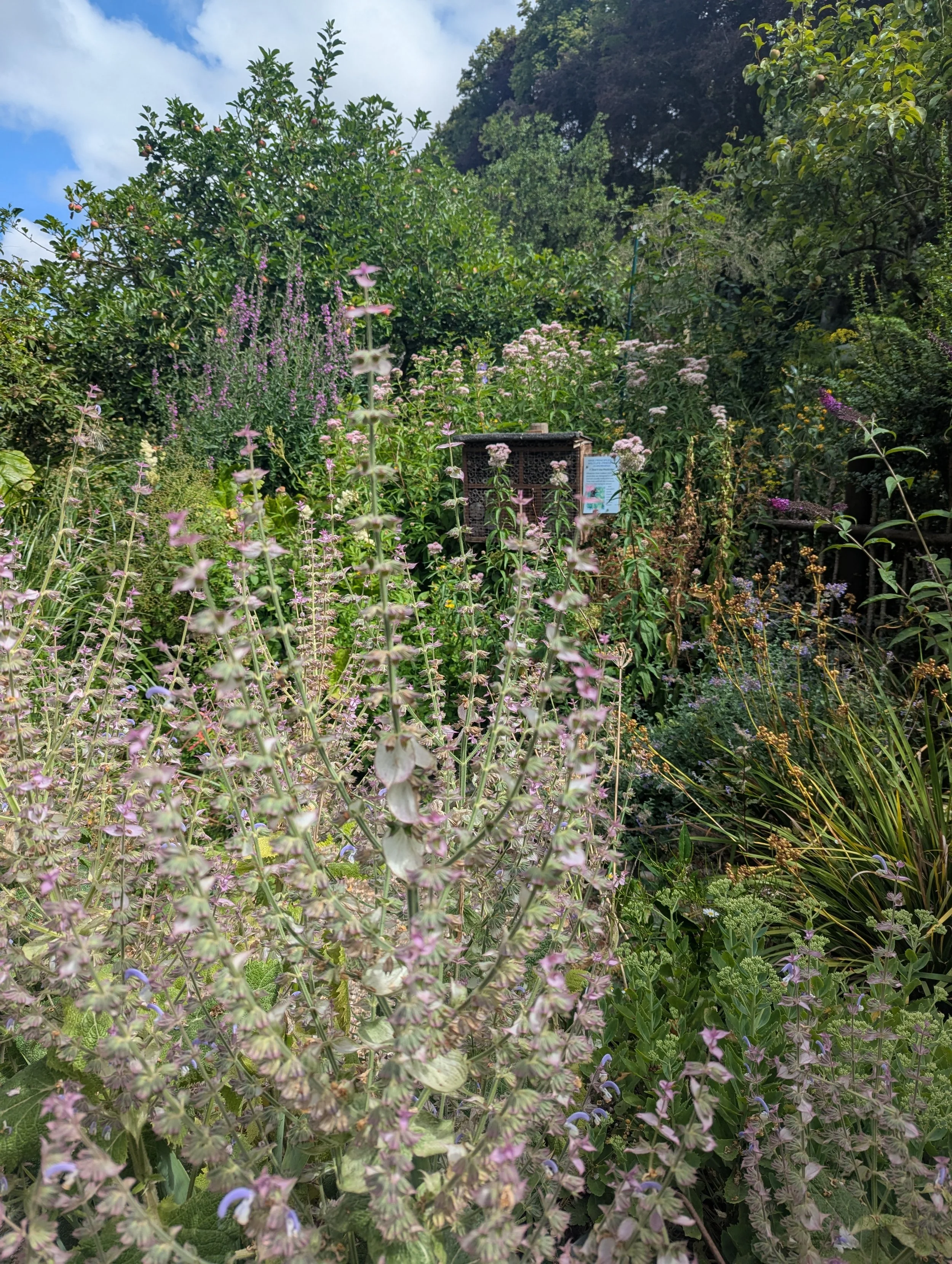 PXL_20260719_095126468.jpg