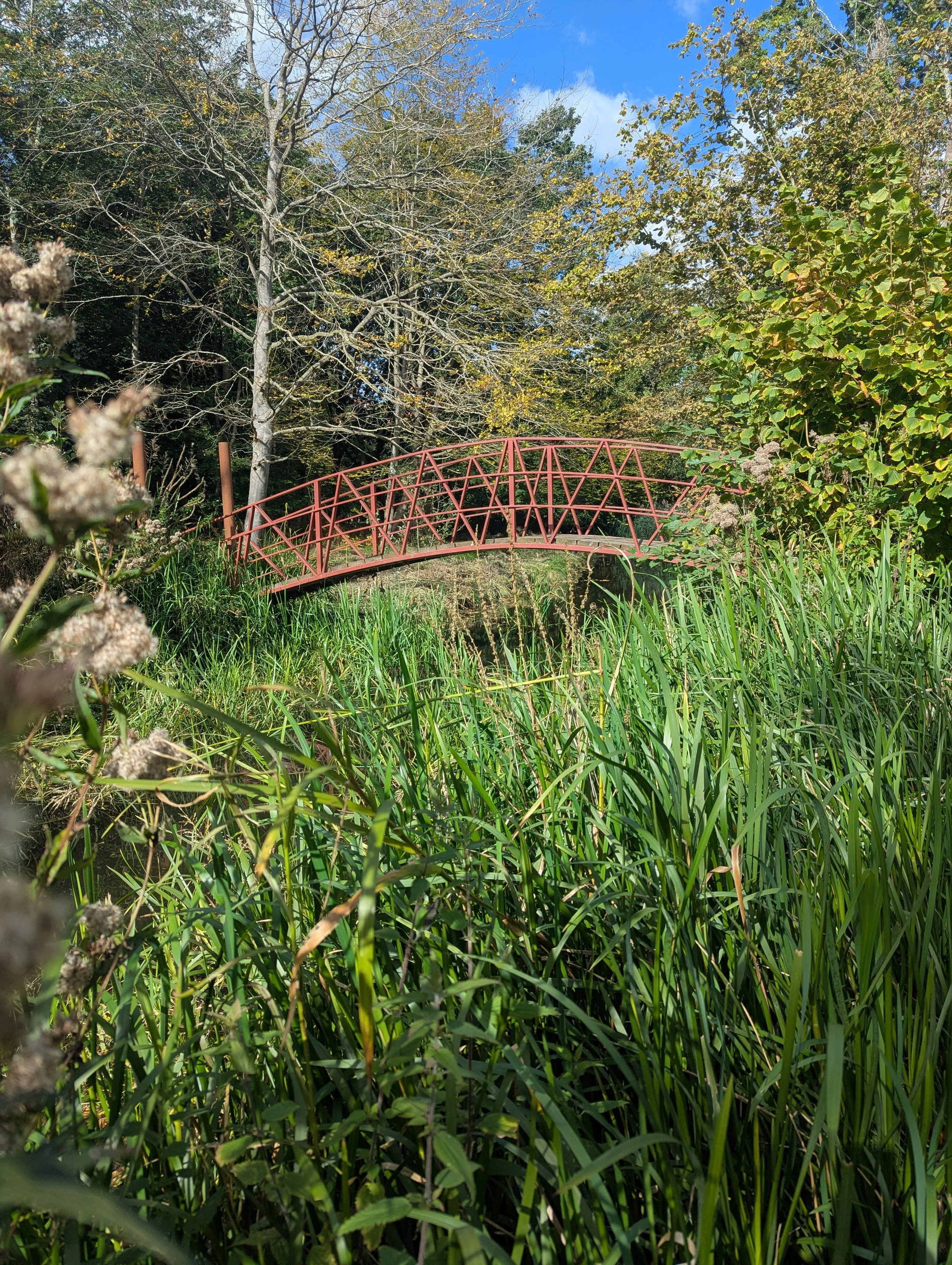 PXL_20260920_103218599.jpg