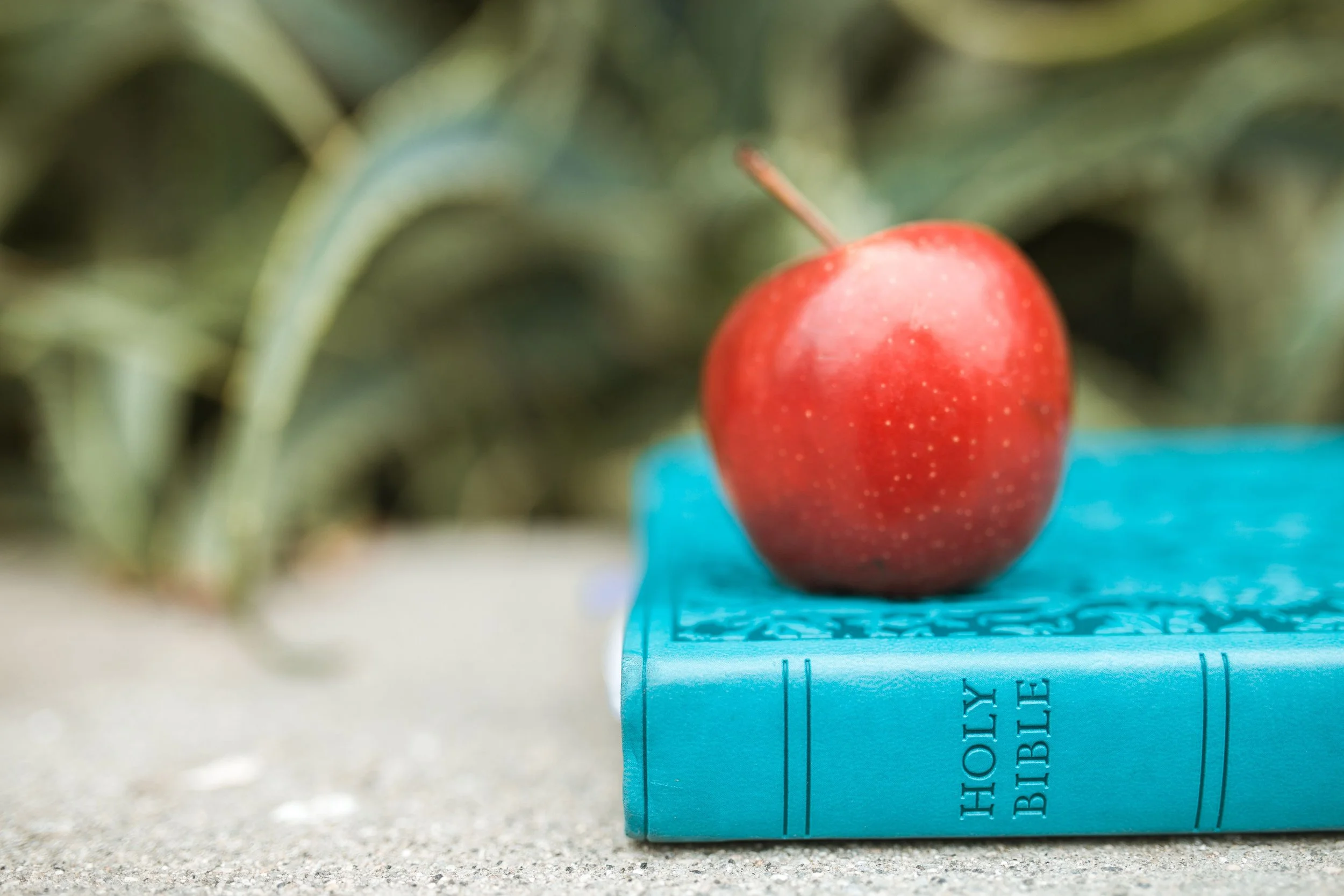 A red apple sitting on a blue box on a light-colored surface with blurred green foliage in the background.