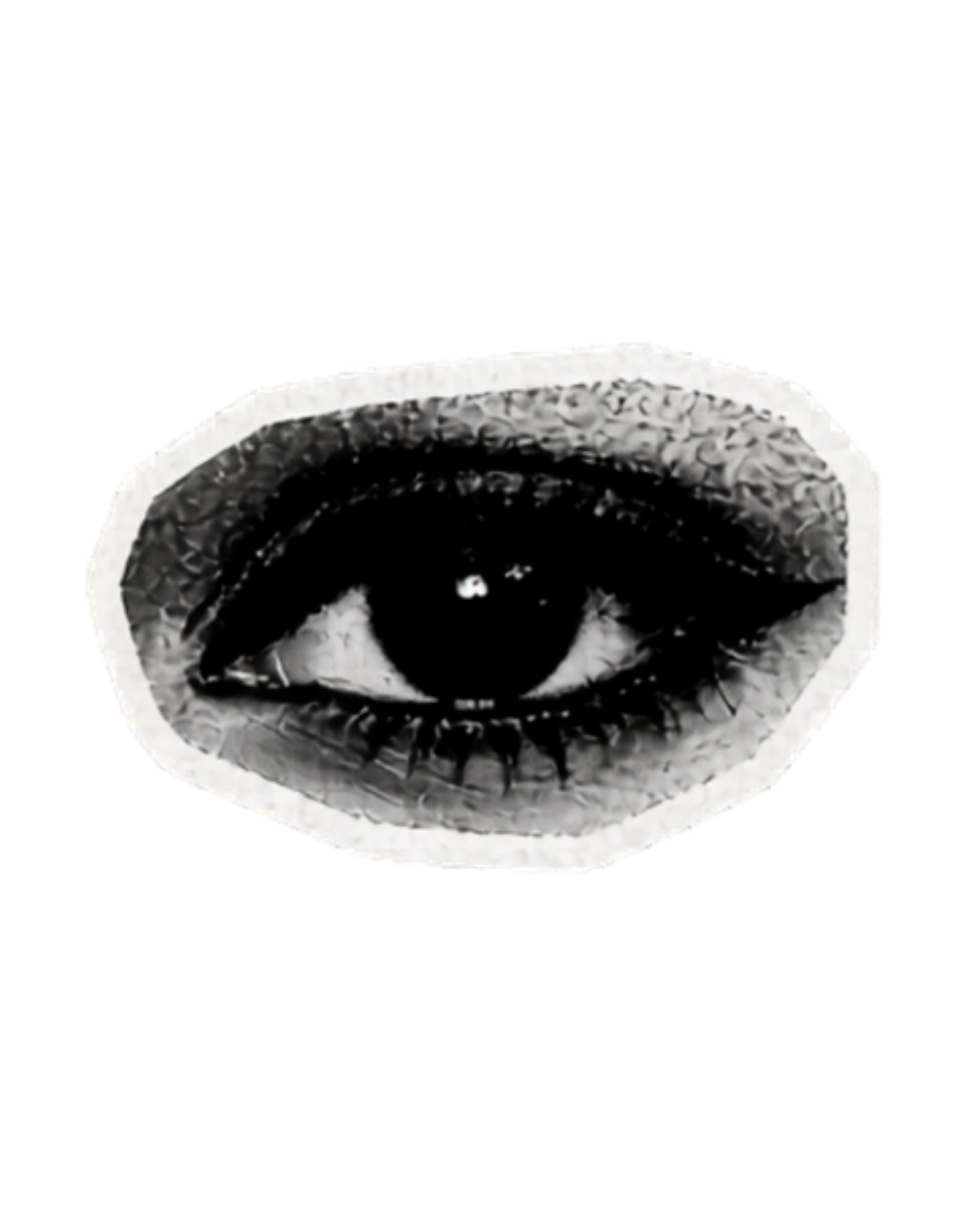 A black and white close-up of a woman's eye with detailed eyelashes and eyebrows for identity-focused online therapy