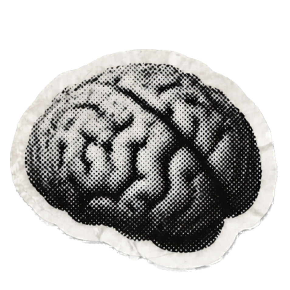 A black and white illustration of a brain, online trauma therapy and EMDR support