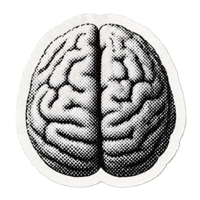 Illustration of a human brain, split into two hemispheres.