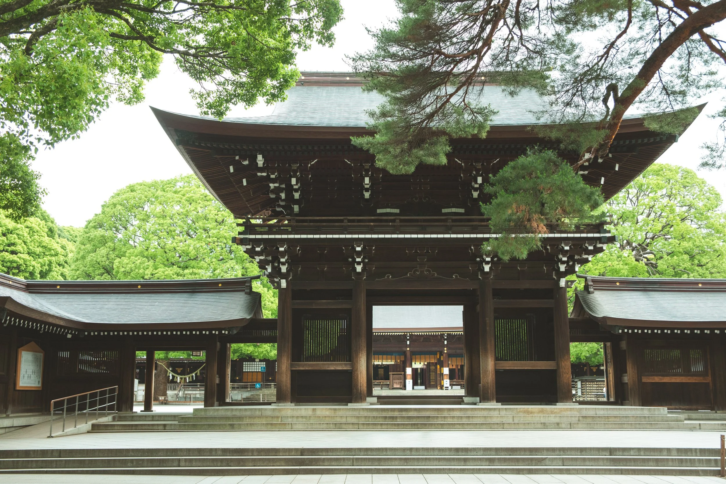 _Meiji Jingu3.jpg