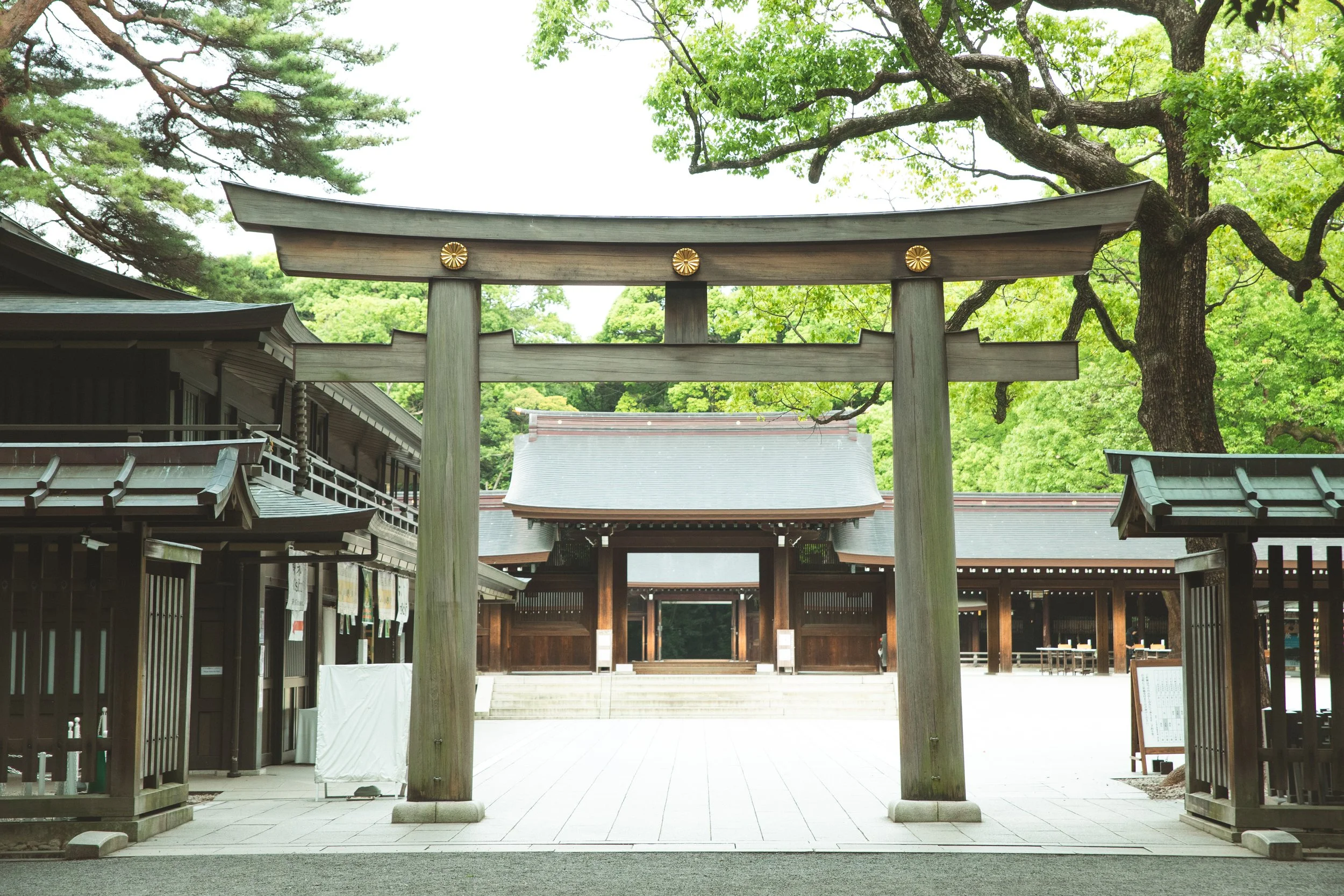 _Meiji Jingu1.jpg