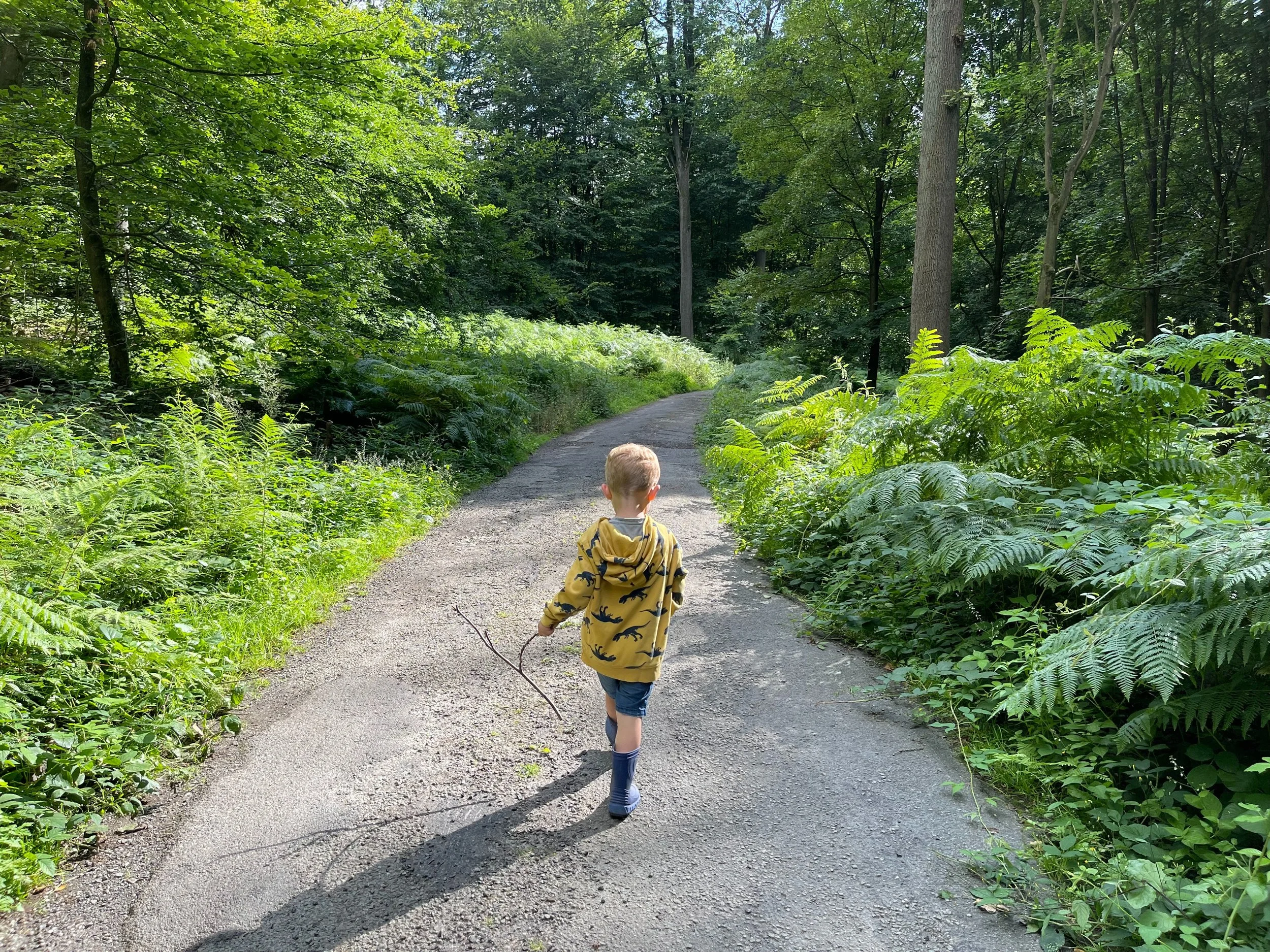 A young boy walking on a dirt trail through a lush green forest, with tall trees and dense foliage on either side.