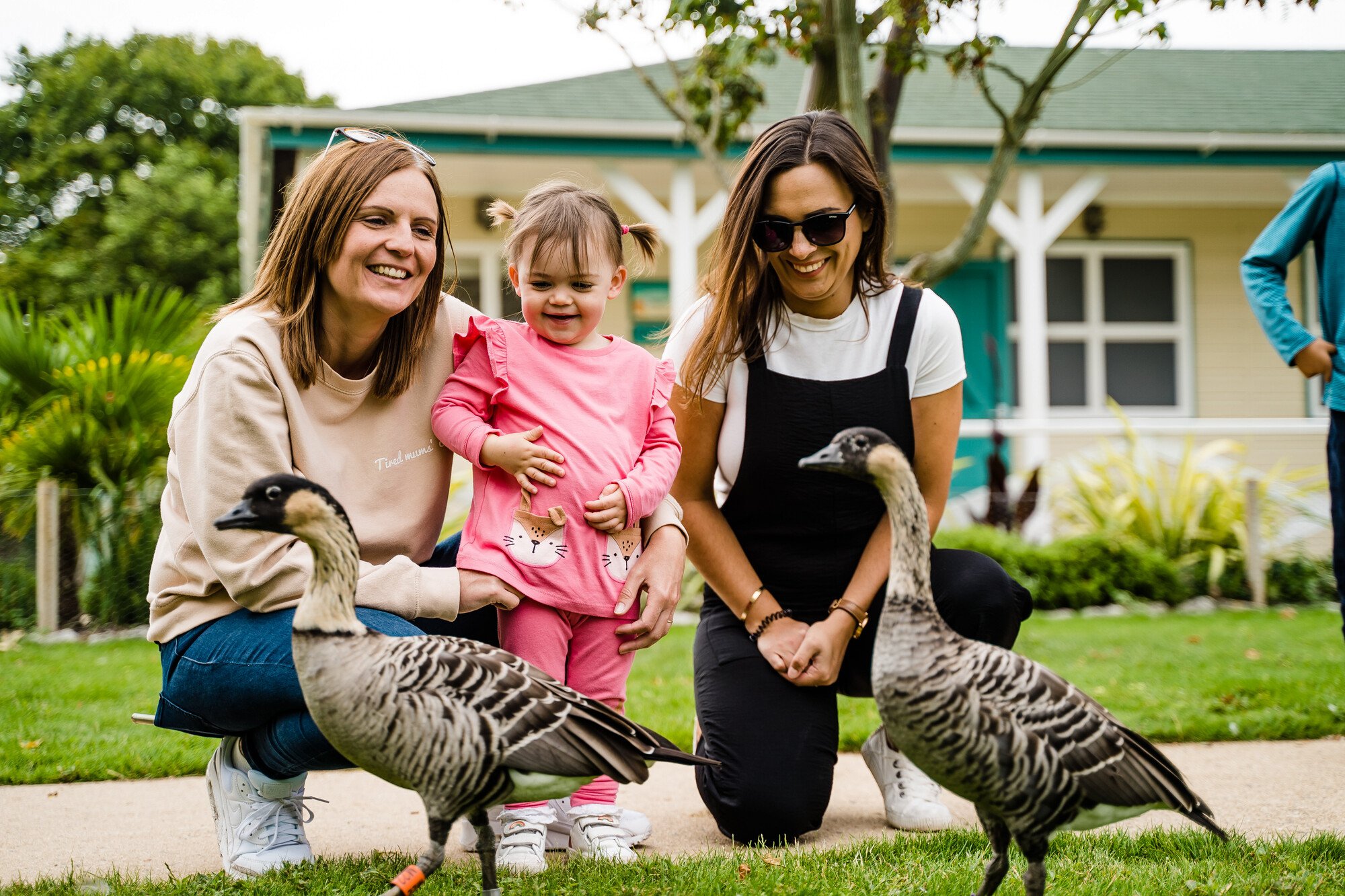 Two women and a young girl with two emus in a park yard, smiling and kneeled down near the emus, with a house and trees in the background.