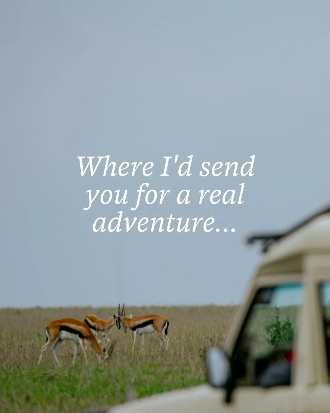 Not every group wants to sit still. 

If yours has been talking about the Safari, the remote expedition, the destination you haven&rsquo;t gotten around to booking&mdash; these four are worth committing to.

I&rsquo;ll handle the group contracts, rat