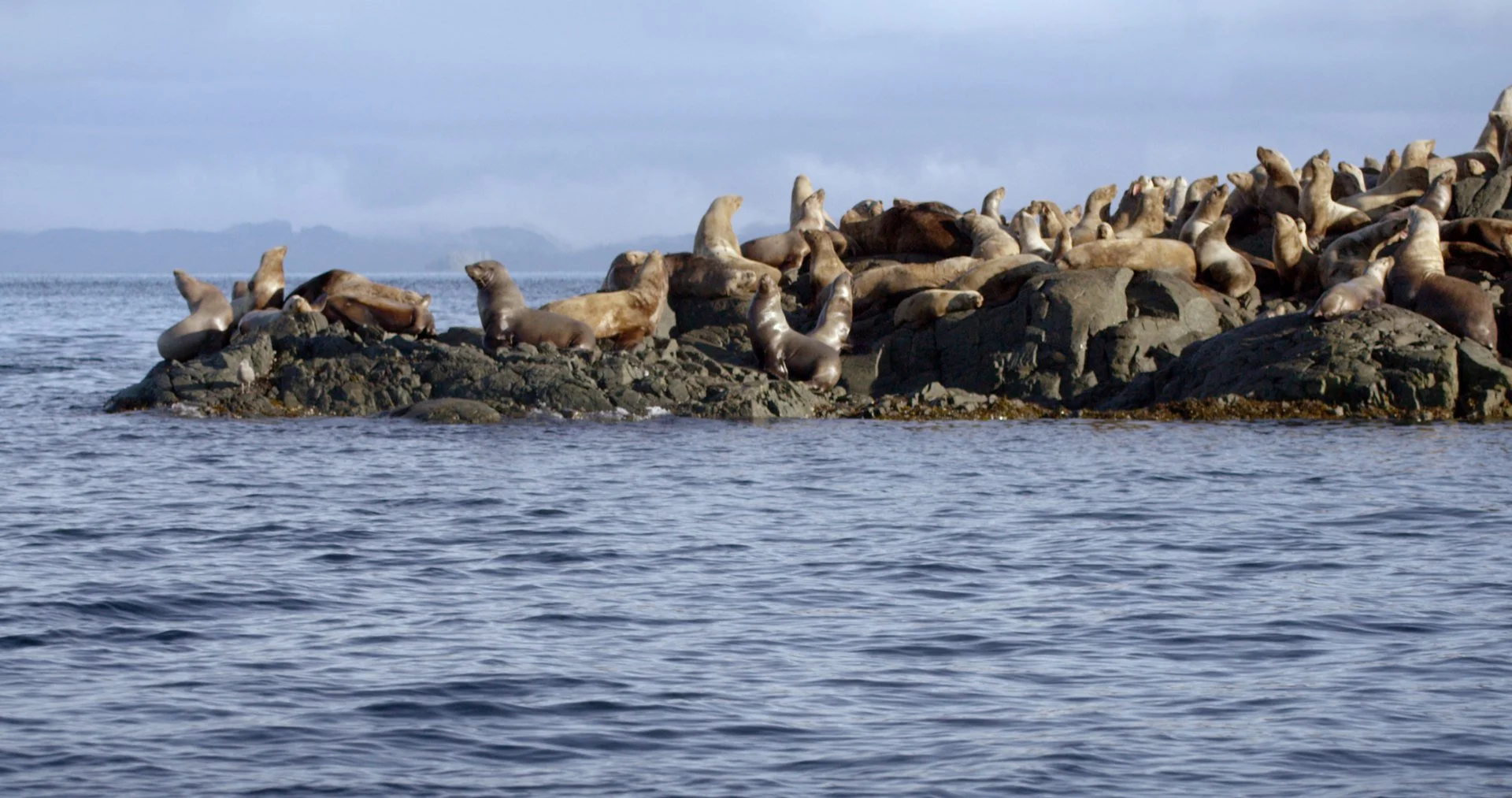 WayOfTheHunter_10134523_72.jpg