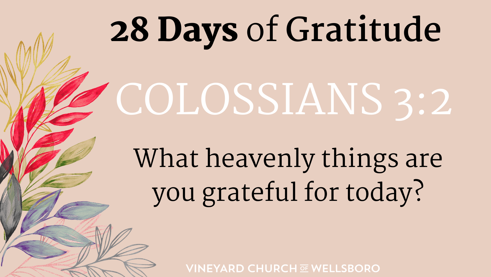 DAY TWENTY-EIGHT