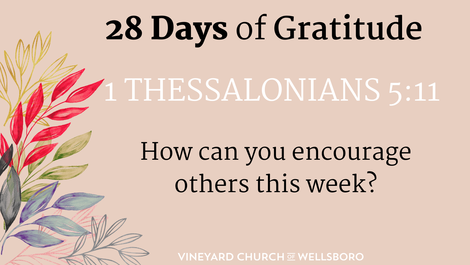 DAY NINE