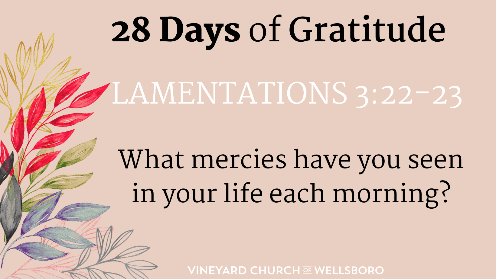 DAY TWENTY-FOUR