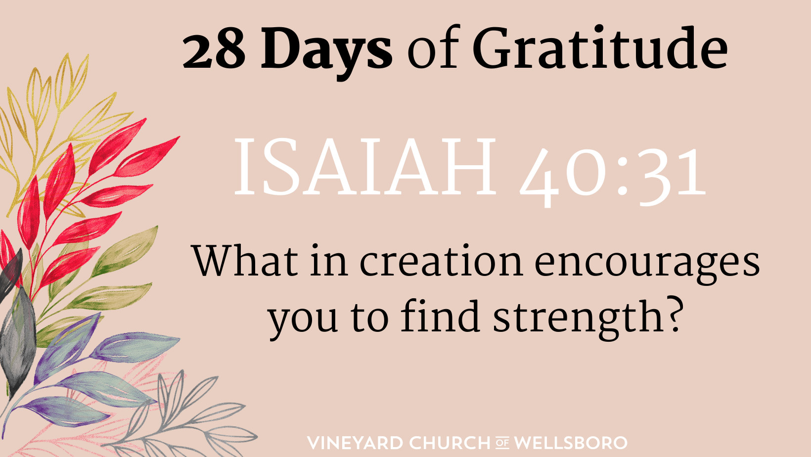 DAY FOUR