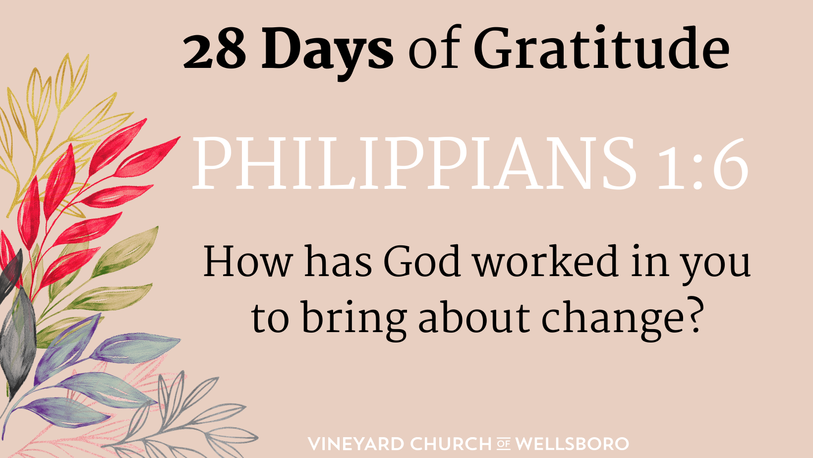 DAY TWENTY-FIVE