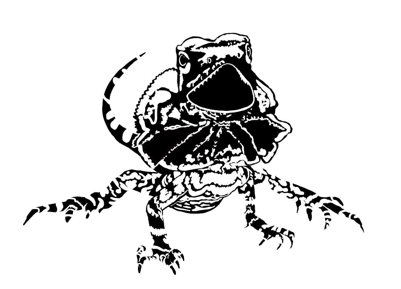 IMG_5708.PNG