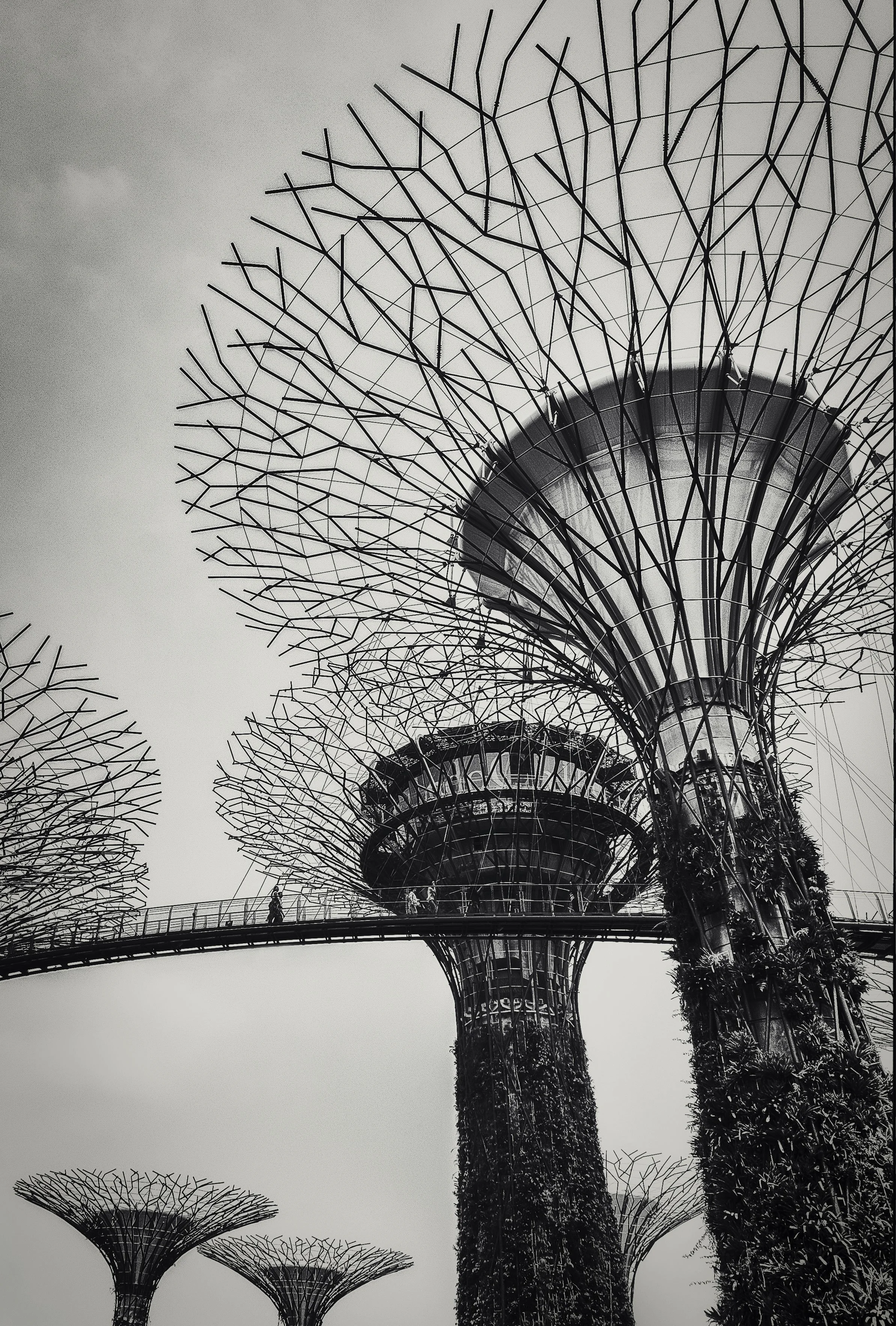 Singapore #03 - 2015