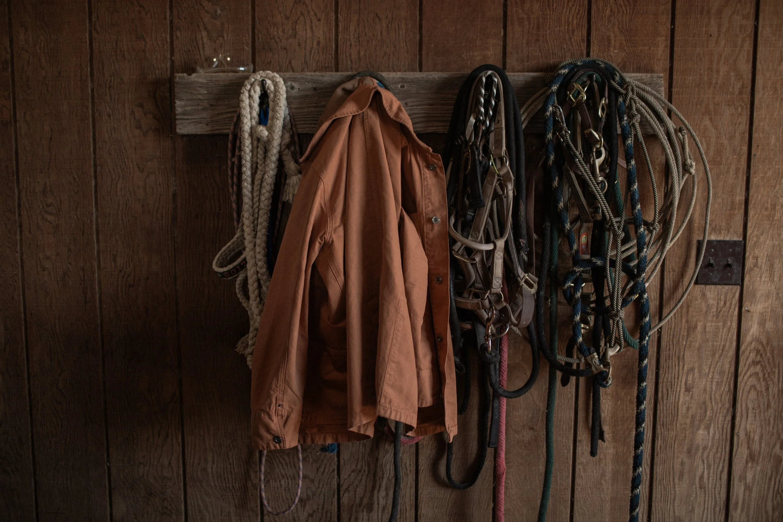 david-gray-malloys-ranch-14.jpg