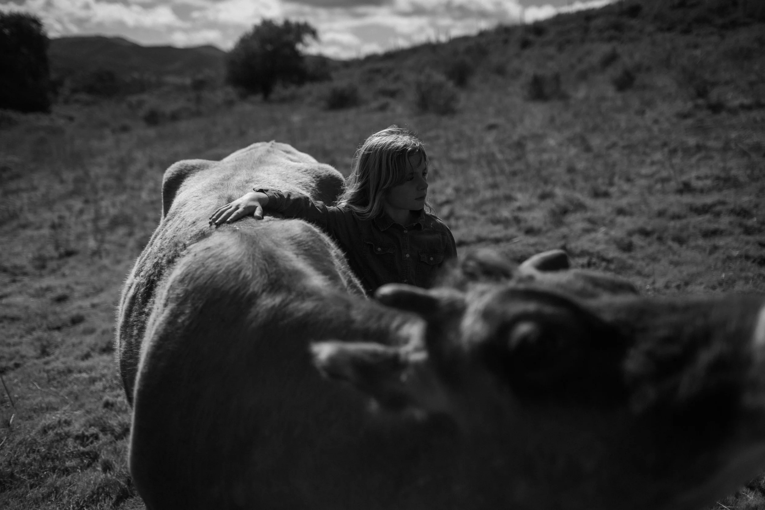 david-gray-malloys-ranch-1.jpg